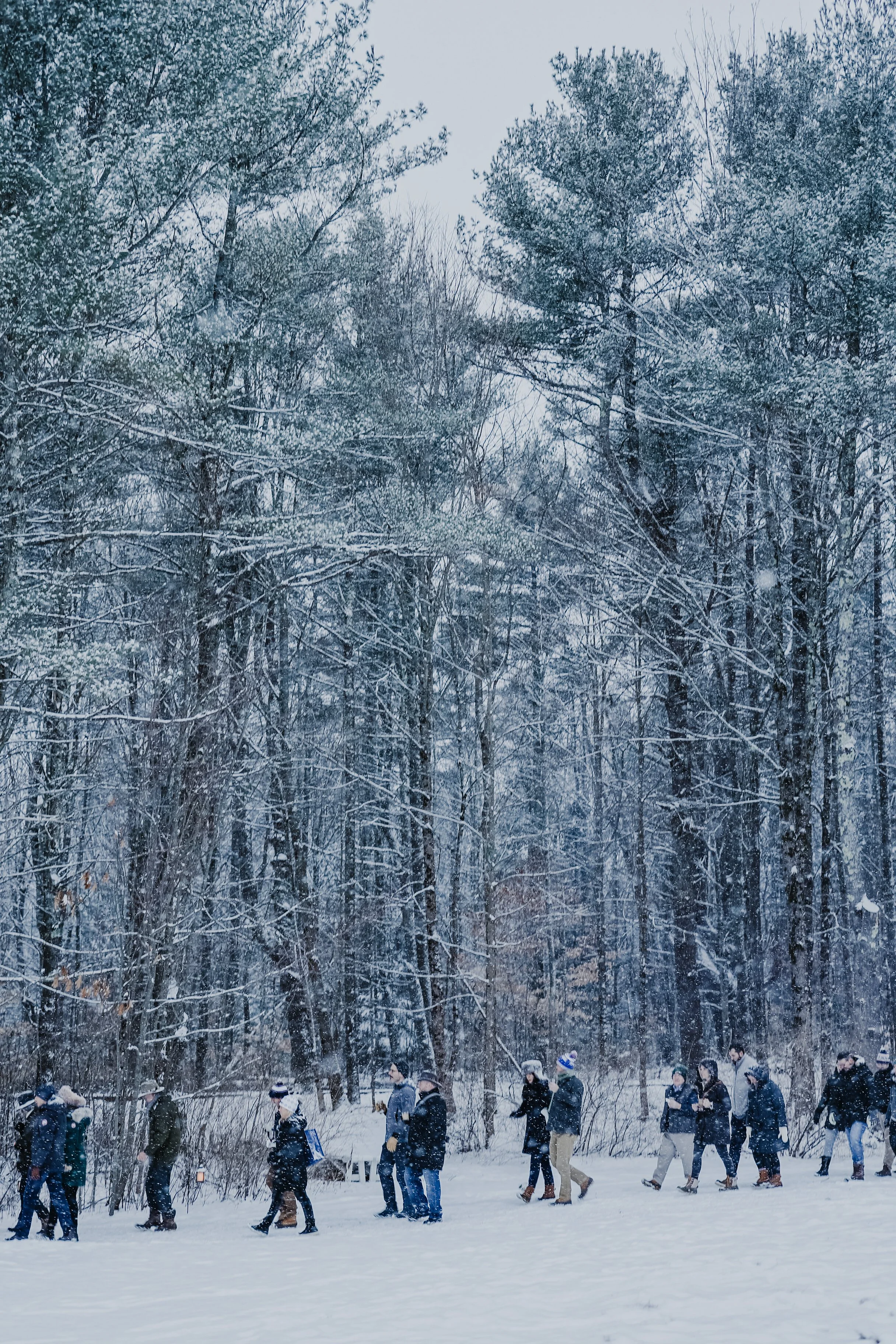People walking in a snowy forest during winter.
