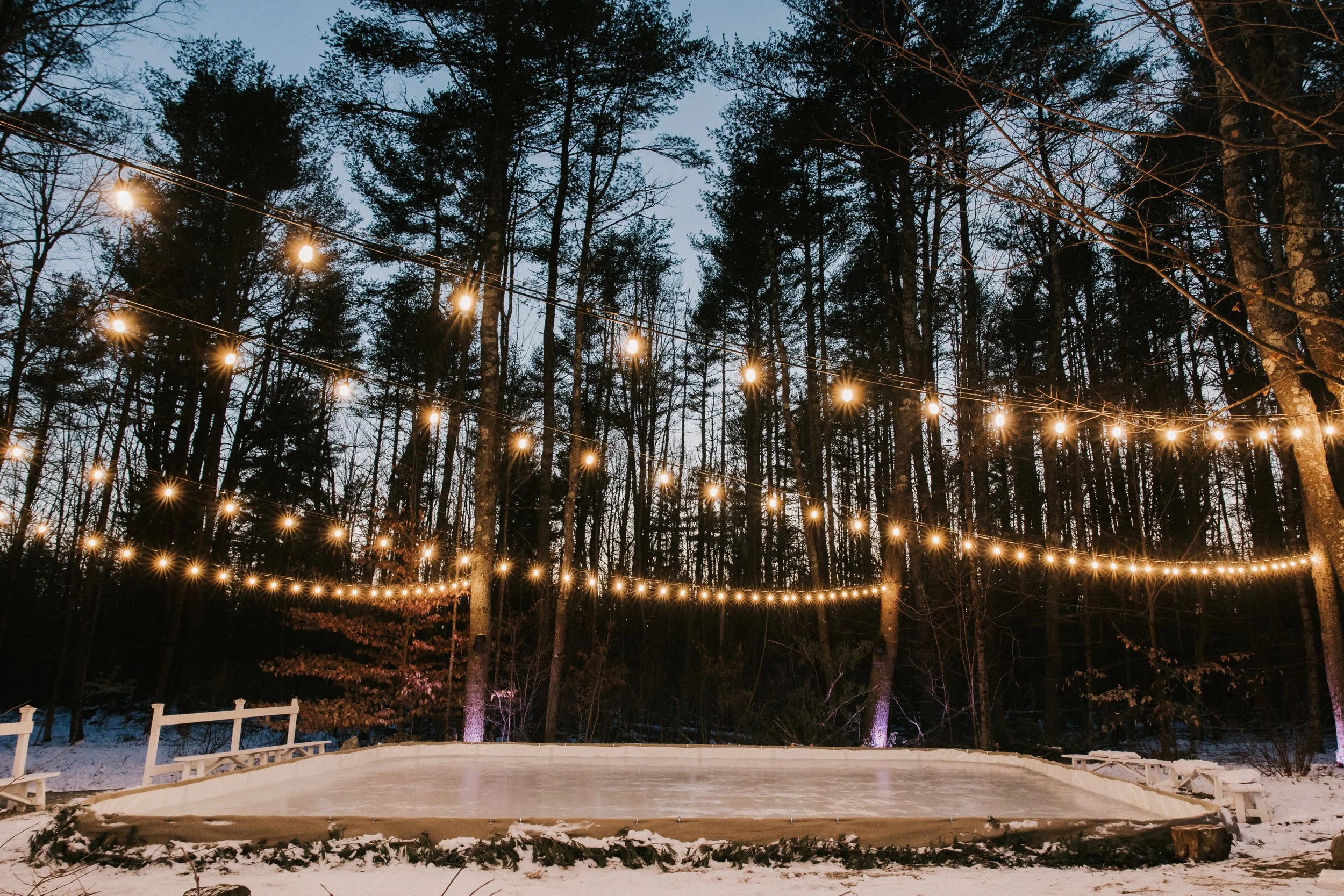 Outdoor ice skating rink at dusk surrounded by trees, decorated with hanging string lights.