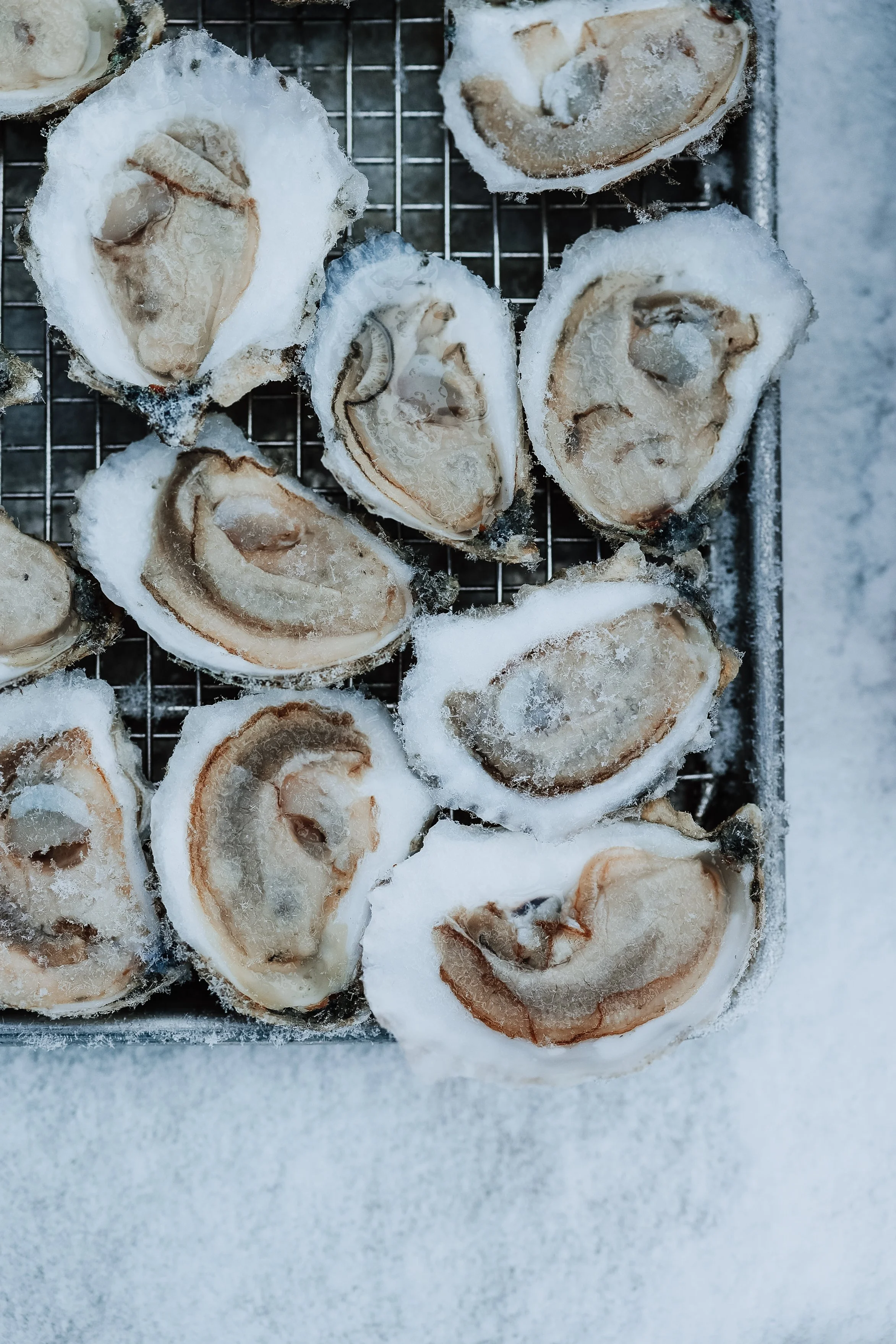 Frozen oysters on a metal rack with snow around them.