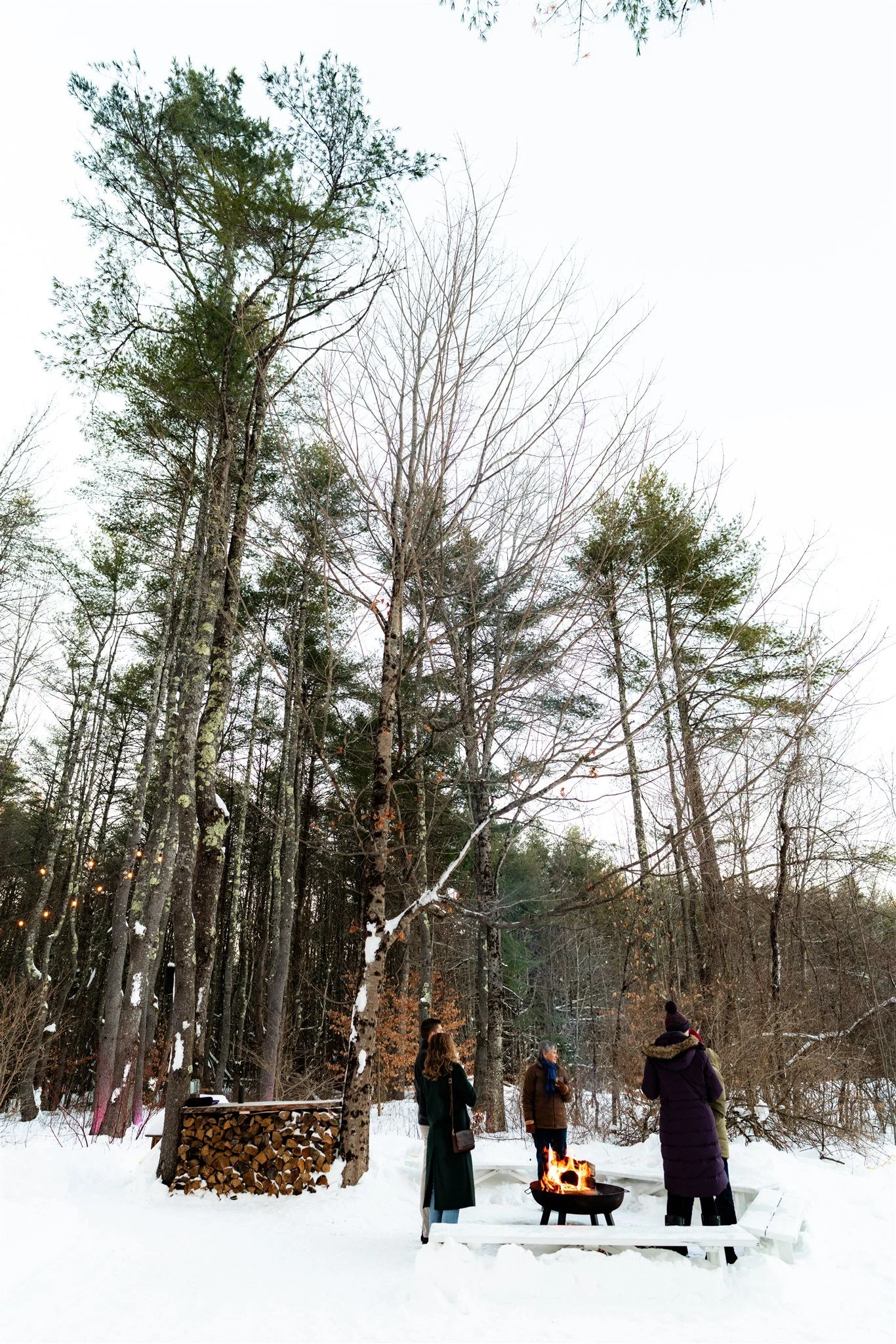 1-30-26_FlanaganFarmSupperClub_BigTree_SneakPeek_Novae-7.jpg