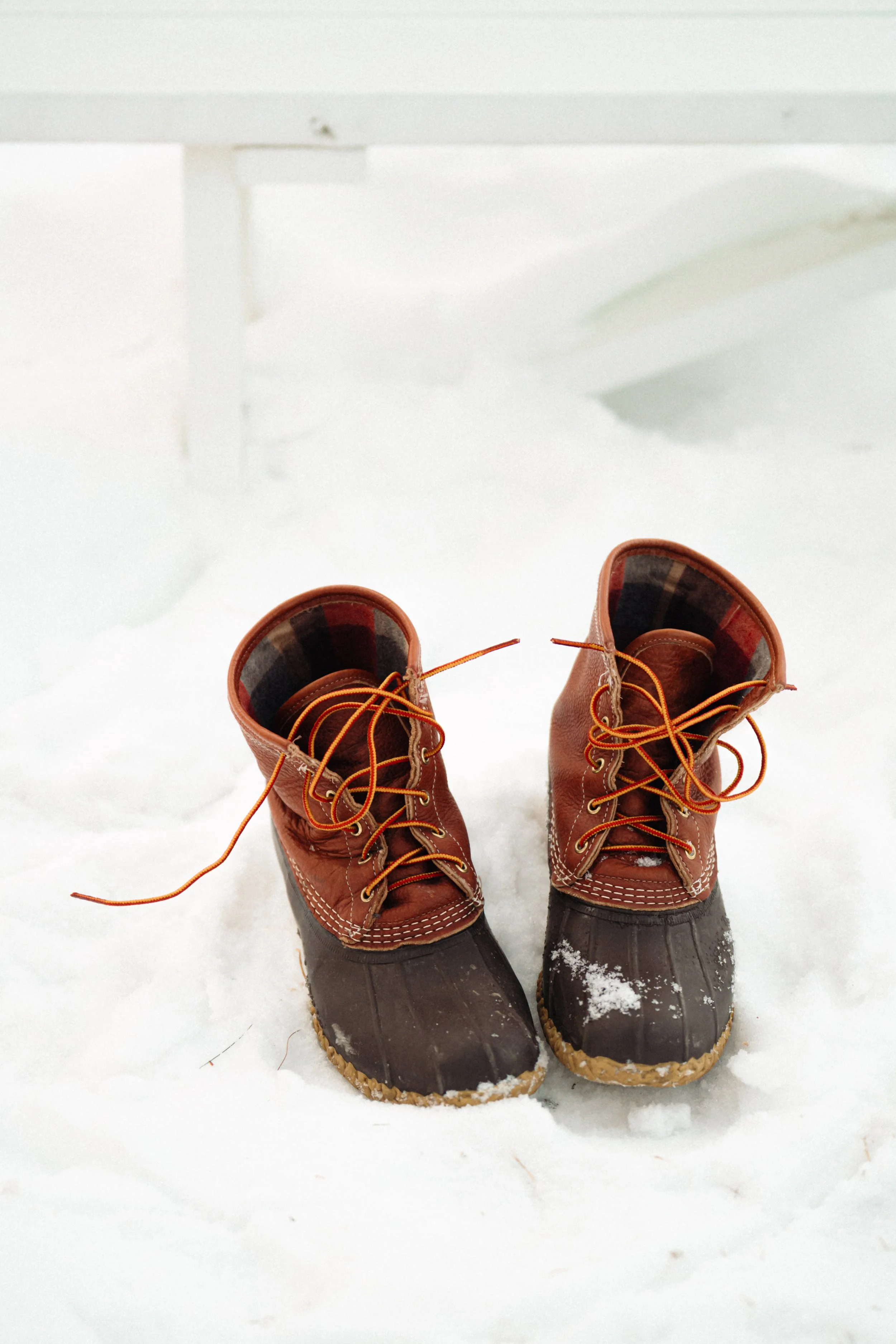 Supper Club_Piccolo_Harper Photo_2.8.26_85.jpg