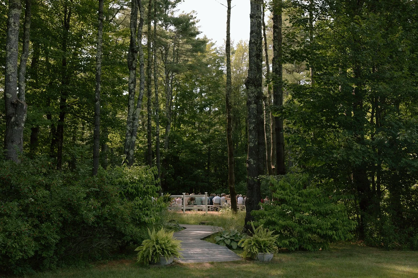 A group of people gathered in a clearing among tall trees in a forest, with a pathway leading to the gathering area.
