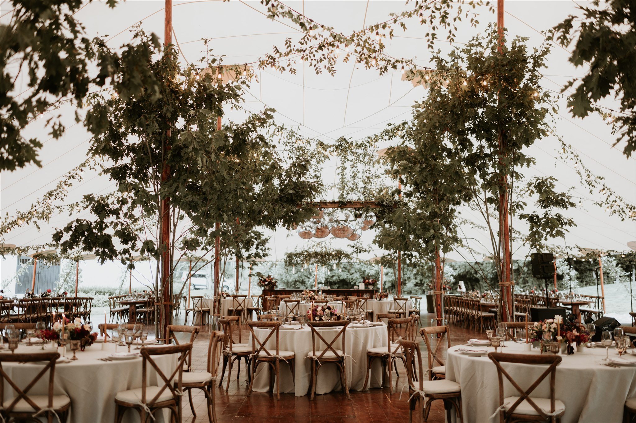 Indoor event space decorated with hanging string lights, large leafy trees, and floral arrangements on round and rectangular tables with chairs, set up for a celebration or banquet.