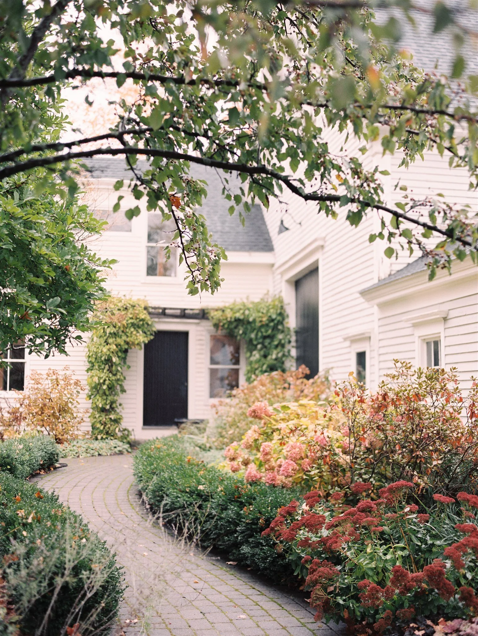 A pathway leading to a white house surrounded by colorful flowering bushes and green plants, with tree branches overhead.