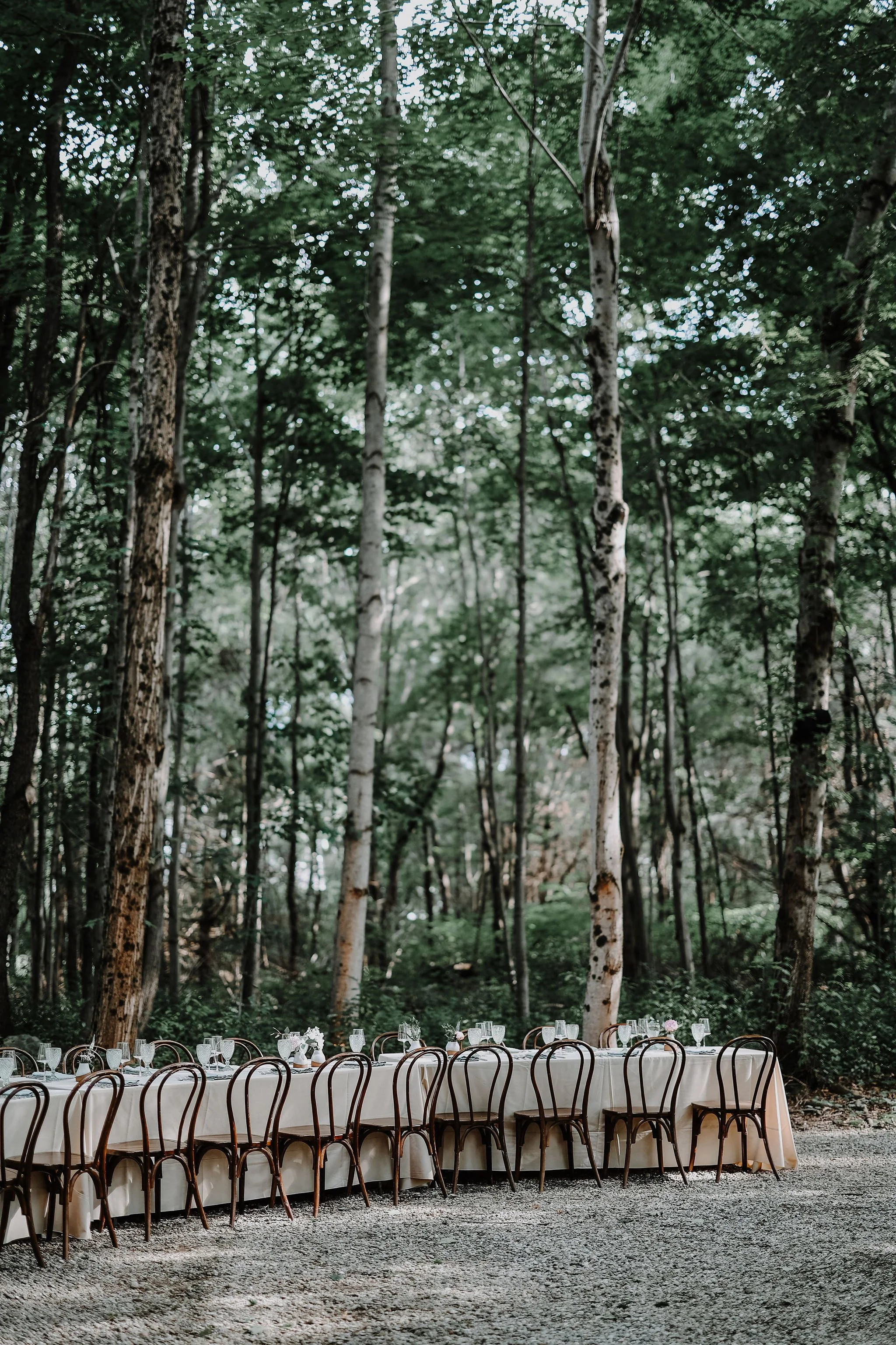 An outdoor table set for a gathering in a forest, with chairs, wine glasses, and floral centerpieces.