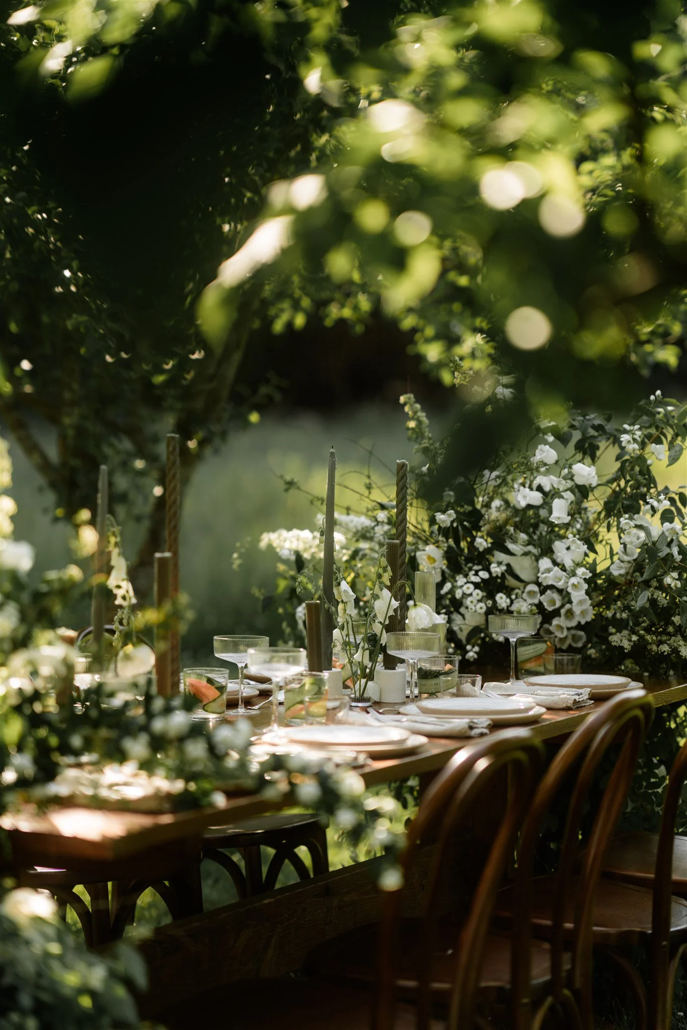 Elegantly set outdoor dining table surrounded by lush green foliage and white flowers, illuminated by natural sunlight.