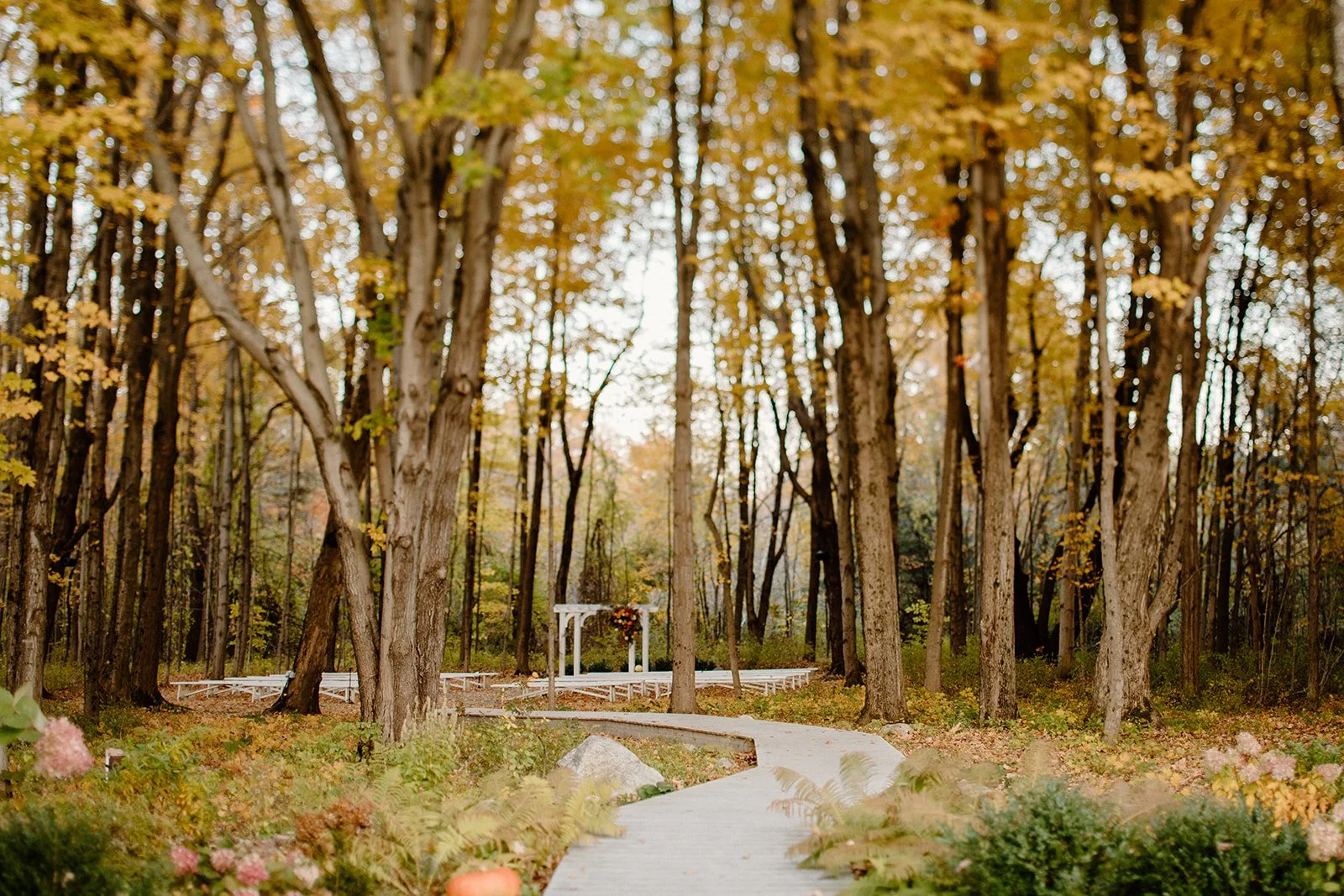 A winding wooden pathway through a forest with trees displaying fall foliage, and a white decorated arch at the end of the path.