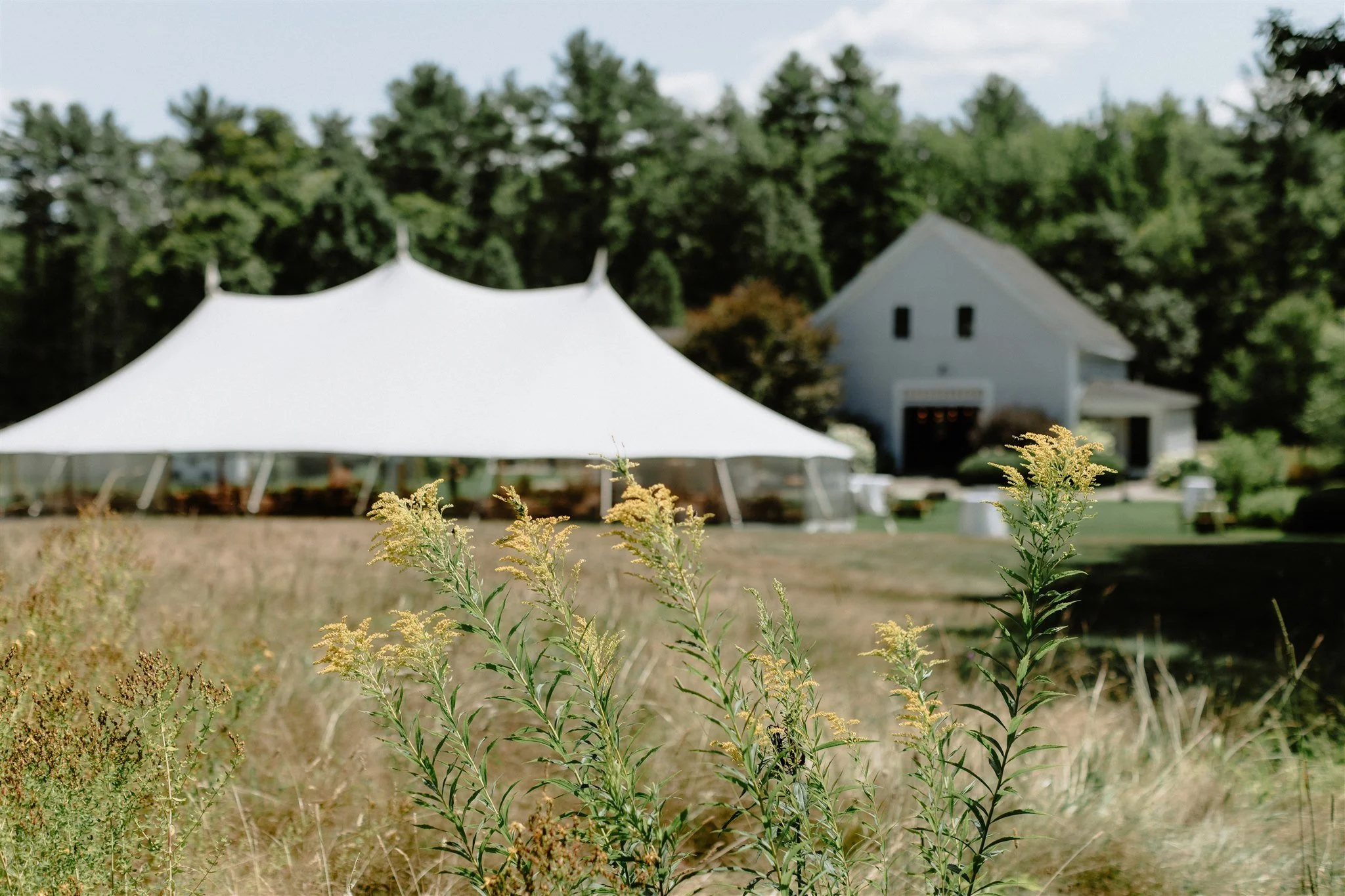 A large white event tent set up on a grassy field with a white barn in the background, surrounded by green trees and clear skies.