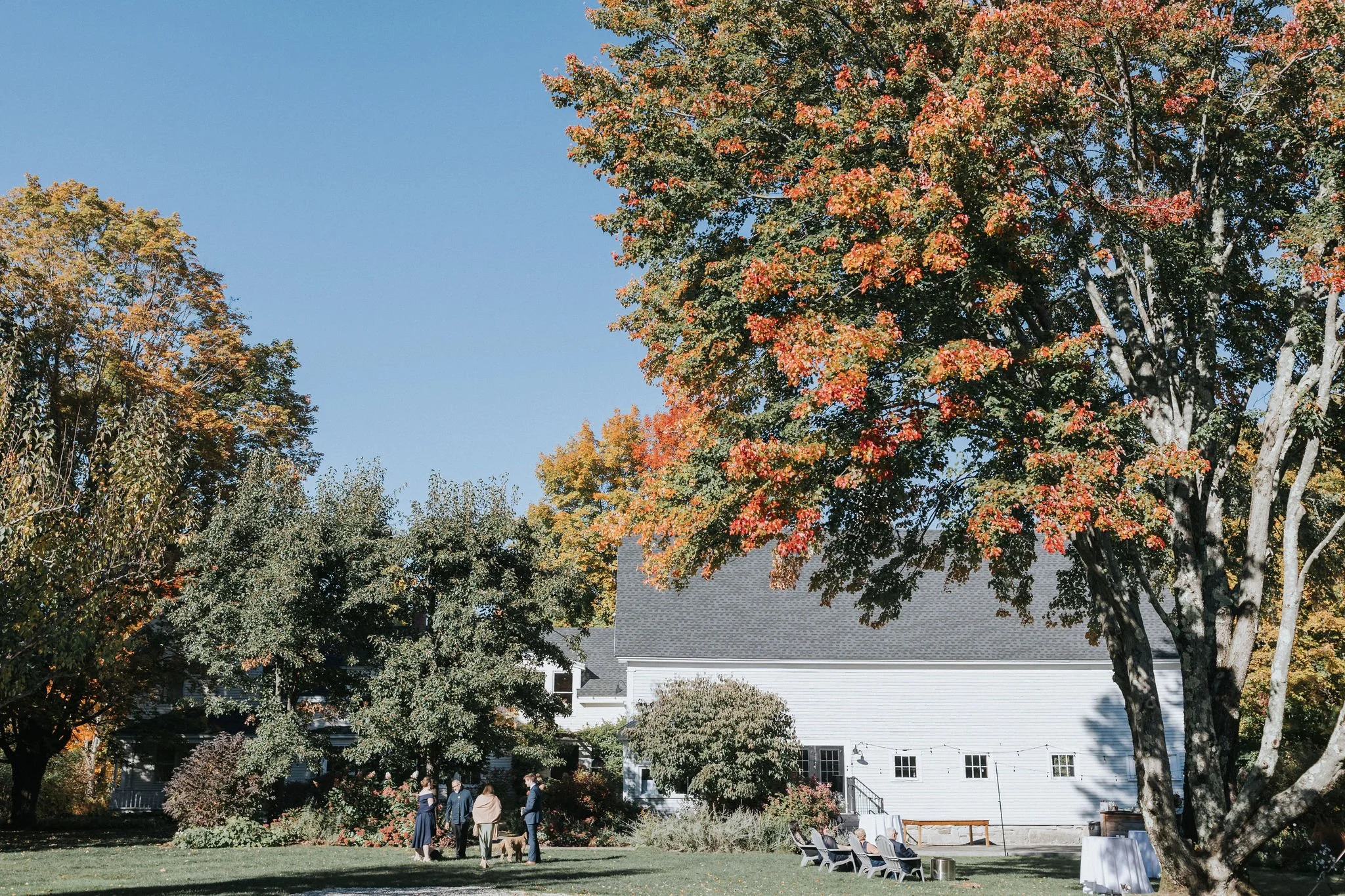 People gathered outdoors in a backyard with trees showing autumn foliage, a white house, and lawn chairs.
