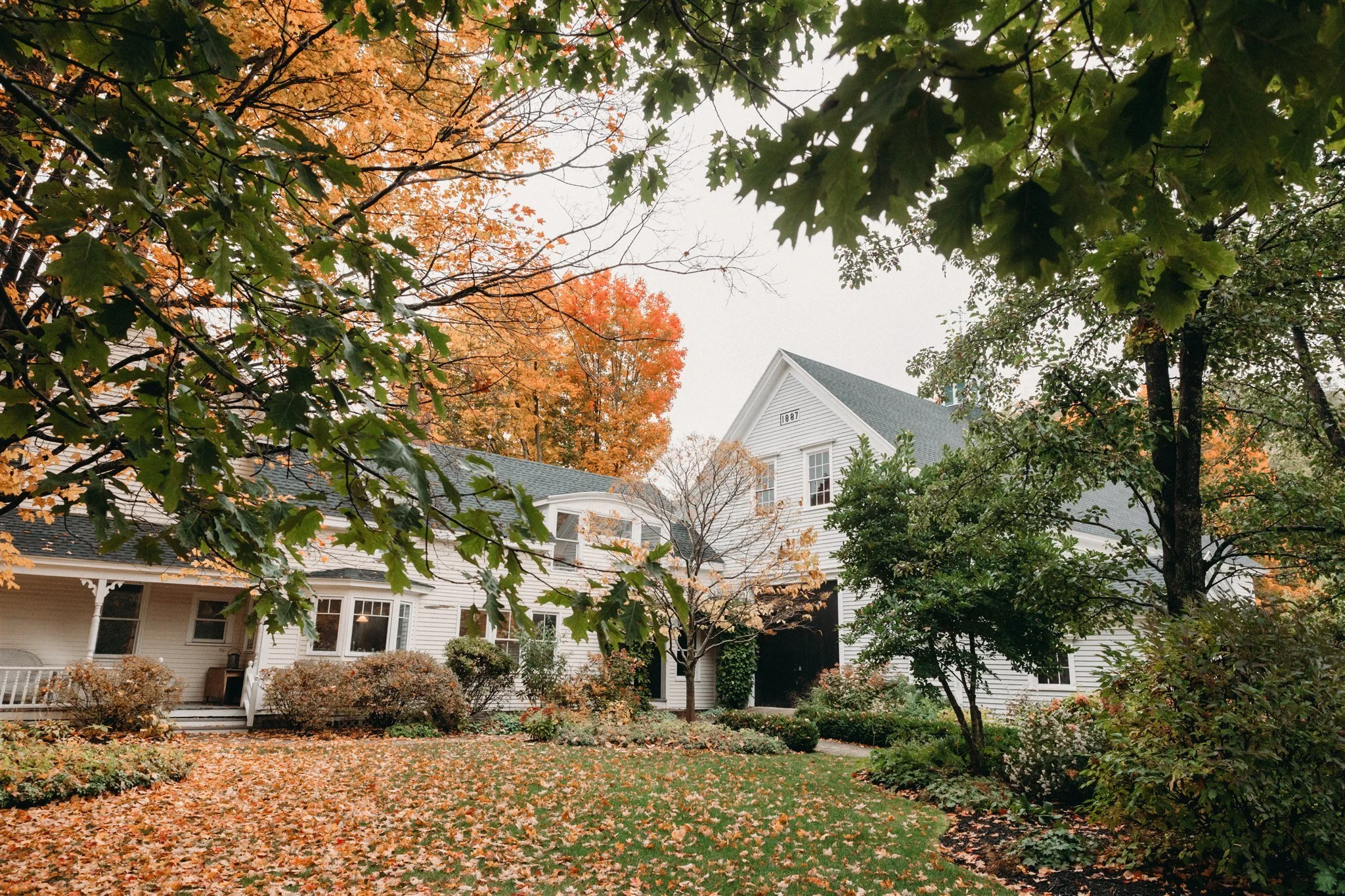 A white house with a large front yard surrounded by trees with orange and green leaves, fallen leaves on the grass, and an overcast sky.