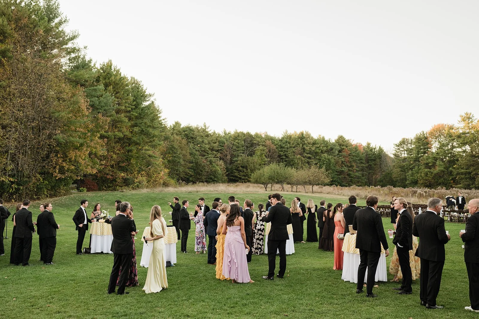Guests at an outdoor wedding reception, mingling and standing around tables on a lush green lawn with trees and a forest in the background.
