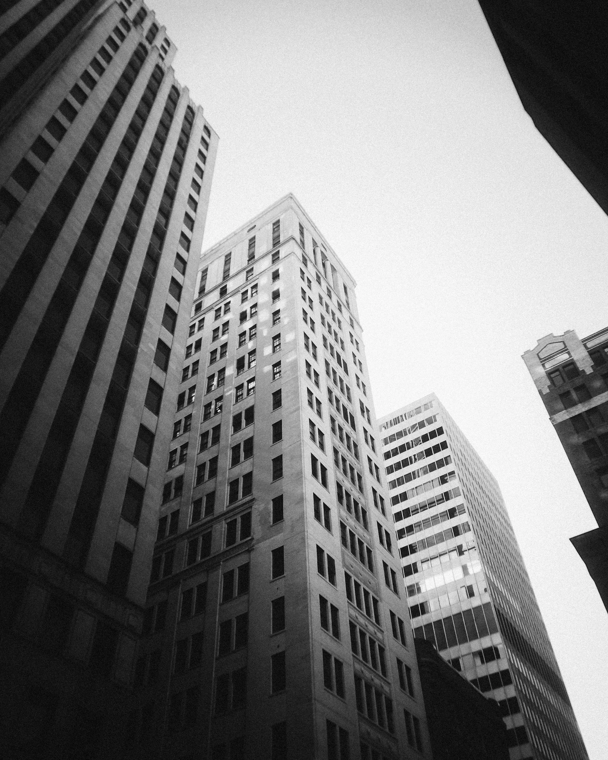 Black and white photo taken from below, showing tall skyscrapers with many windows in a city.