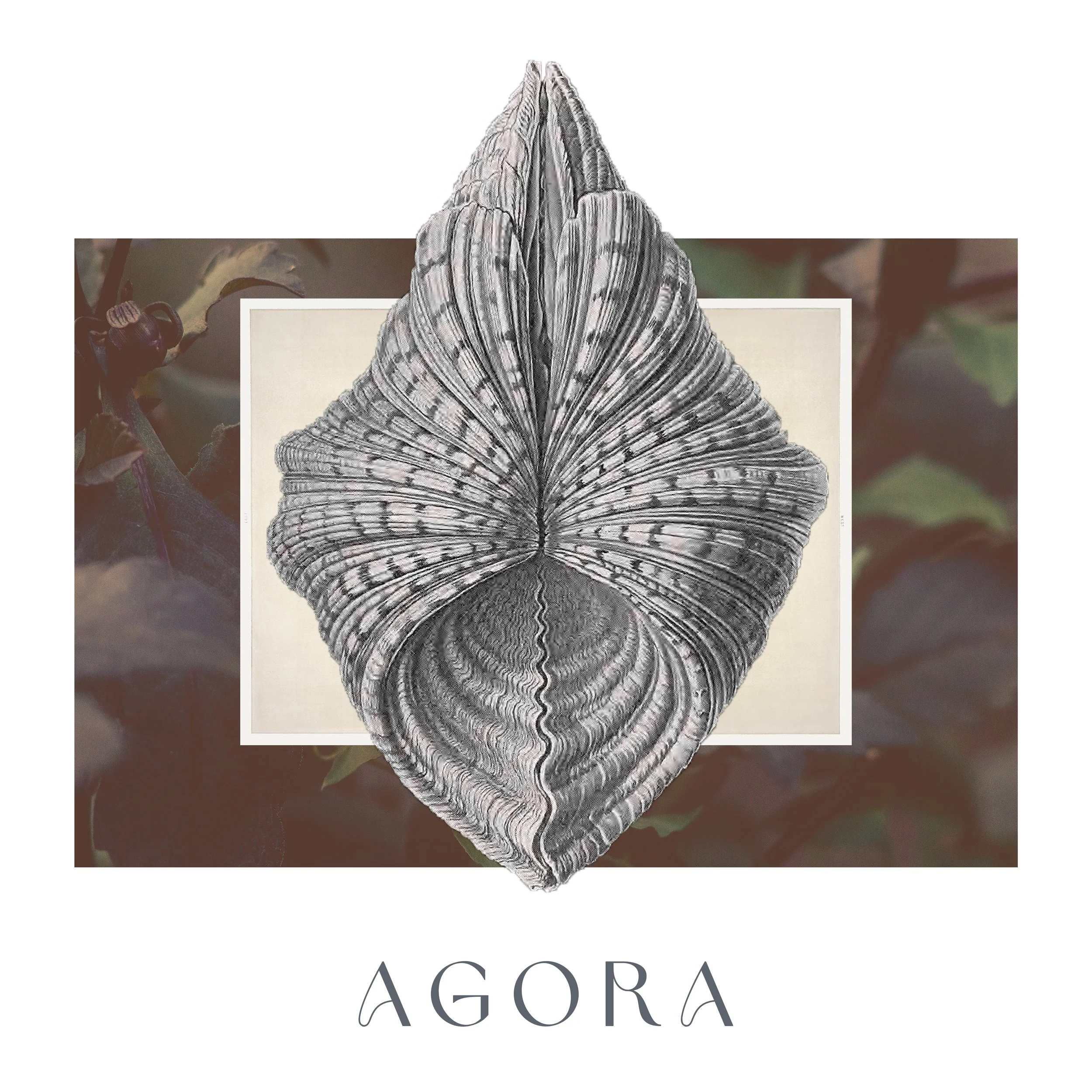 AGORA