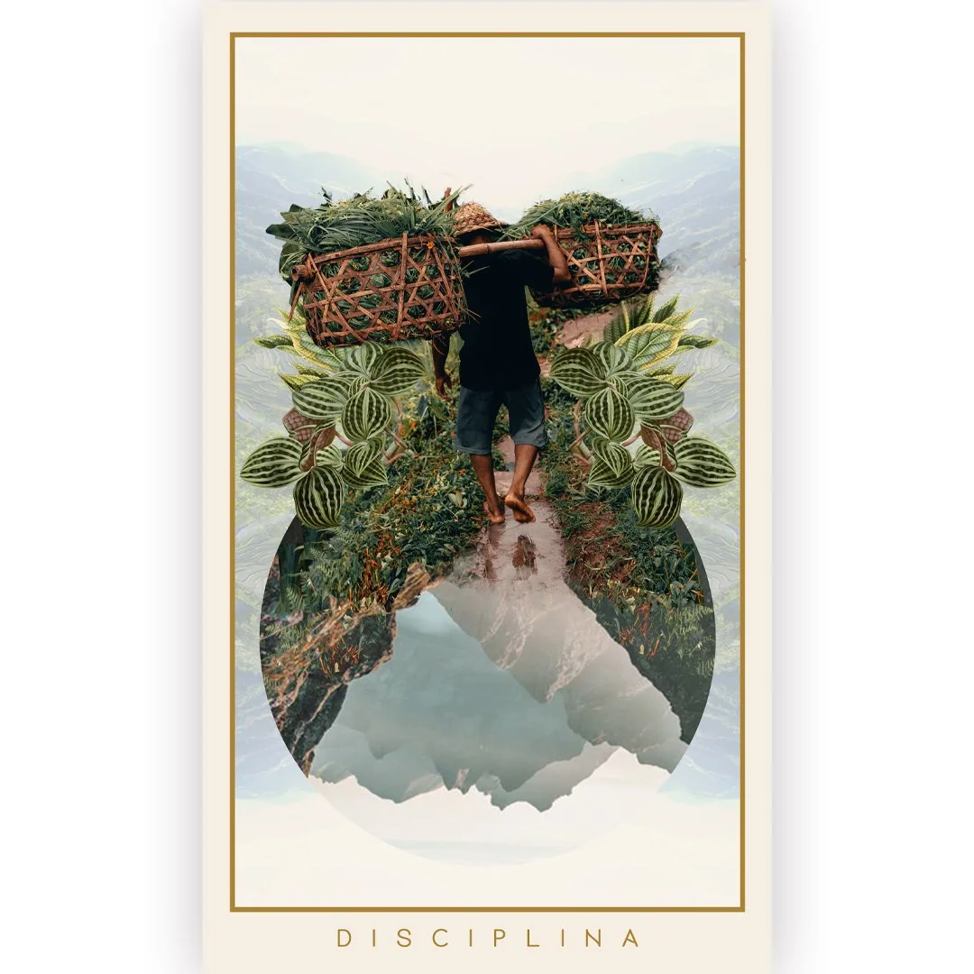 11- disciplina-POST-1.jpg