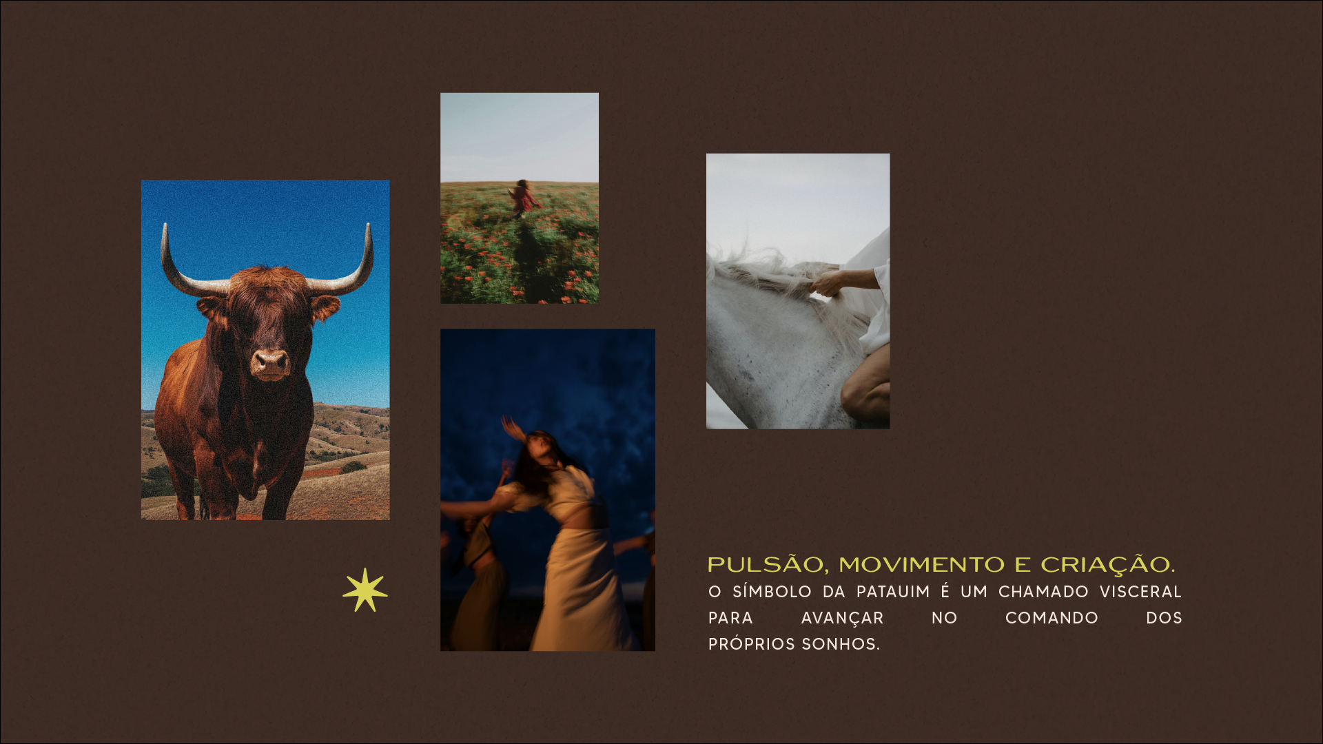 patauim_telas_portfolioPrancheta 4.png