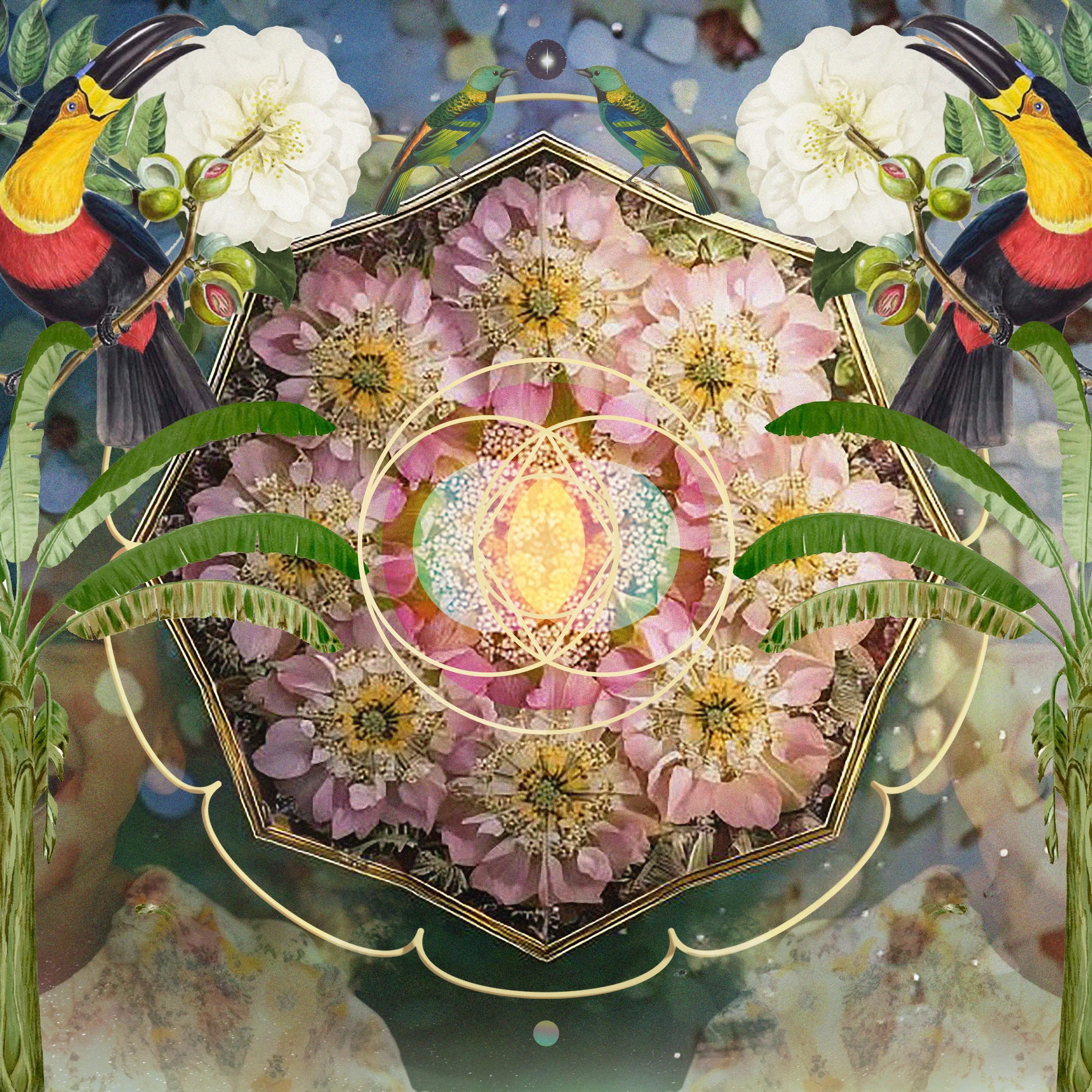 CAPA NANAN | PRIMAVERA