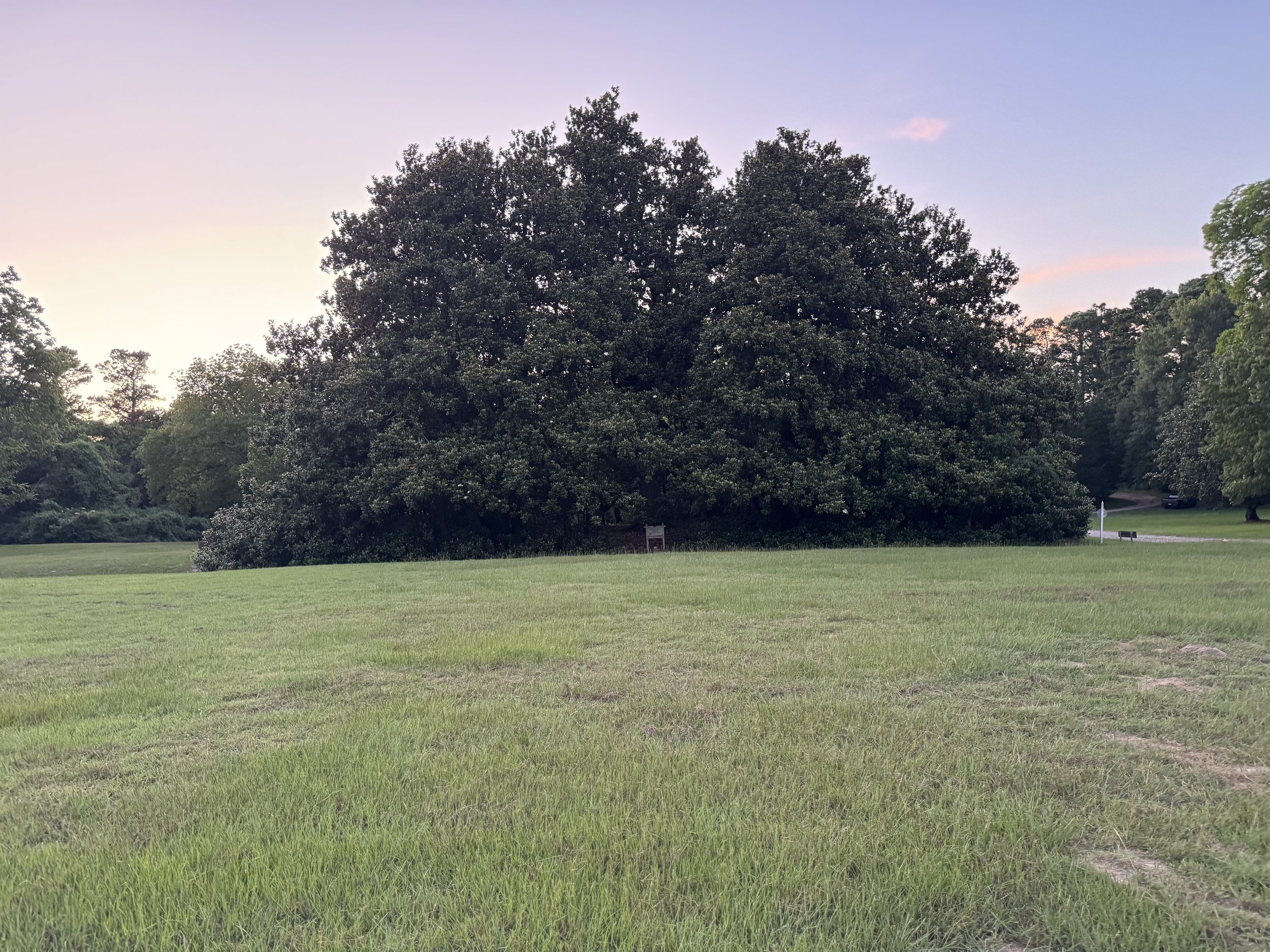 IMG_1065.jpeg
