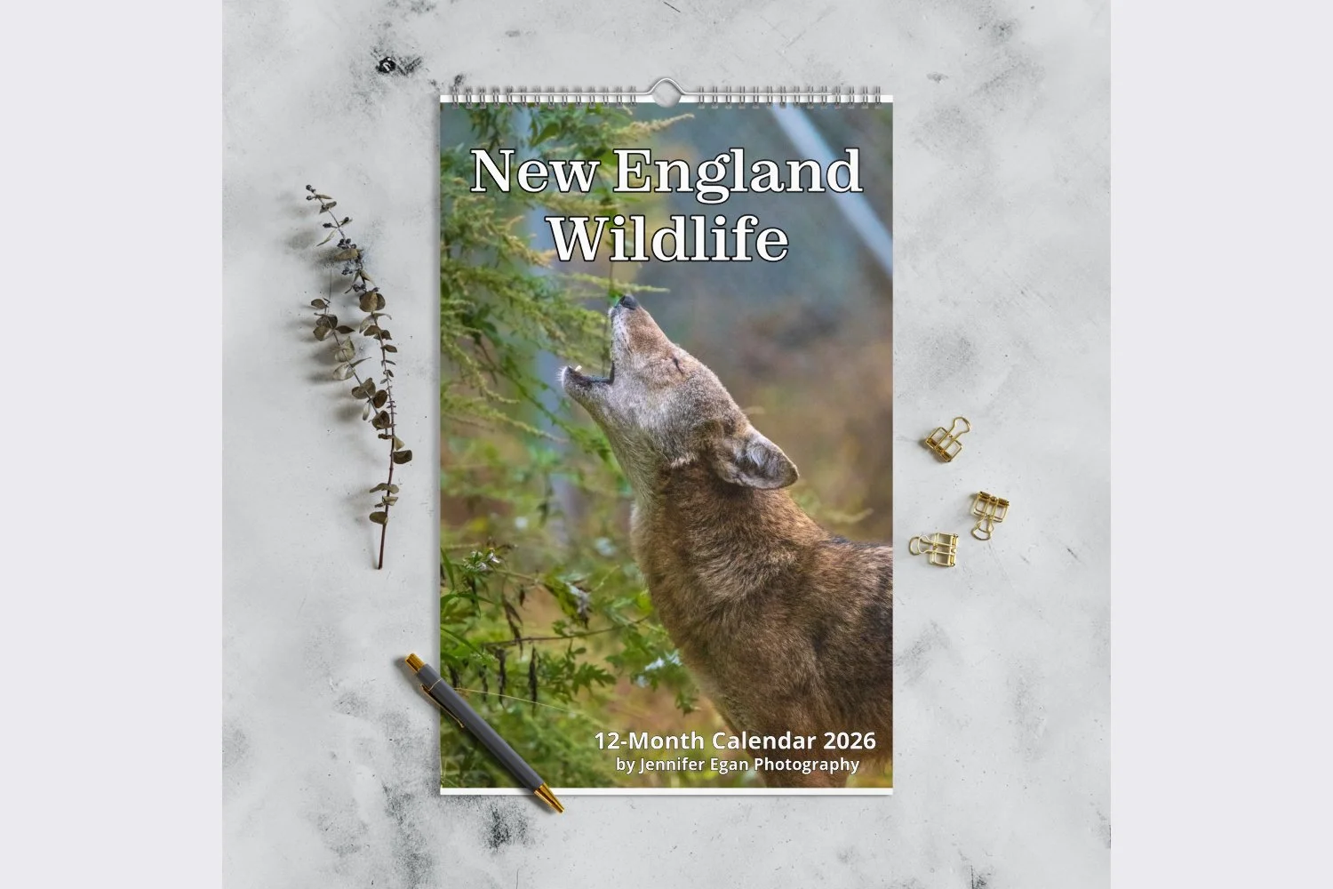 New England Wildlife (2026 Calendar)