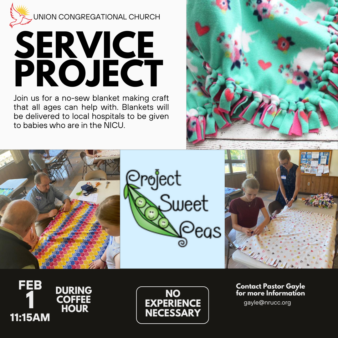 Project Sweet Peas: NICU Blankets & Dog Toys