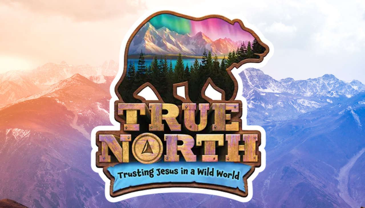 True North Summer Sundays