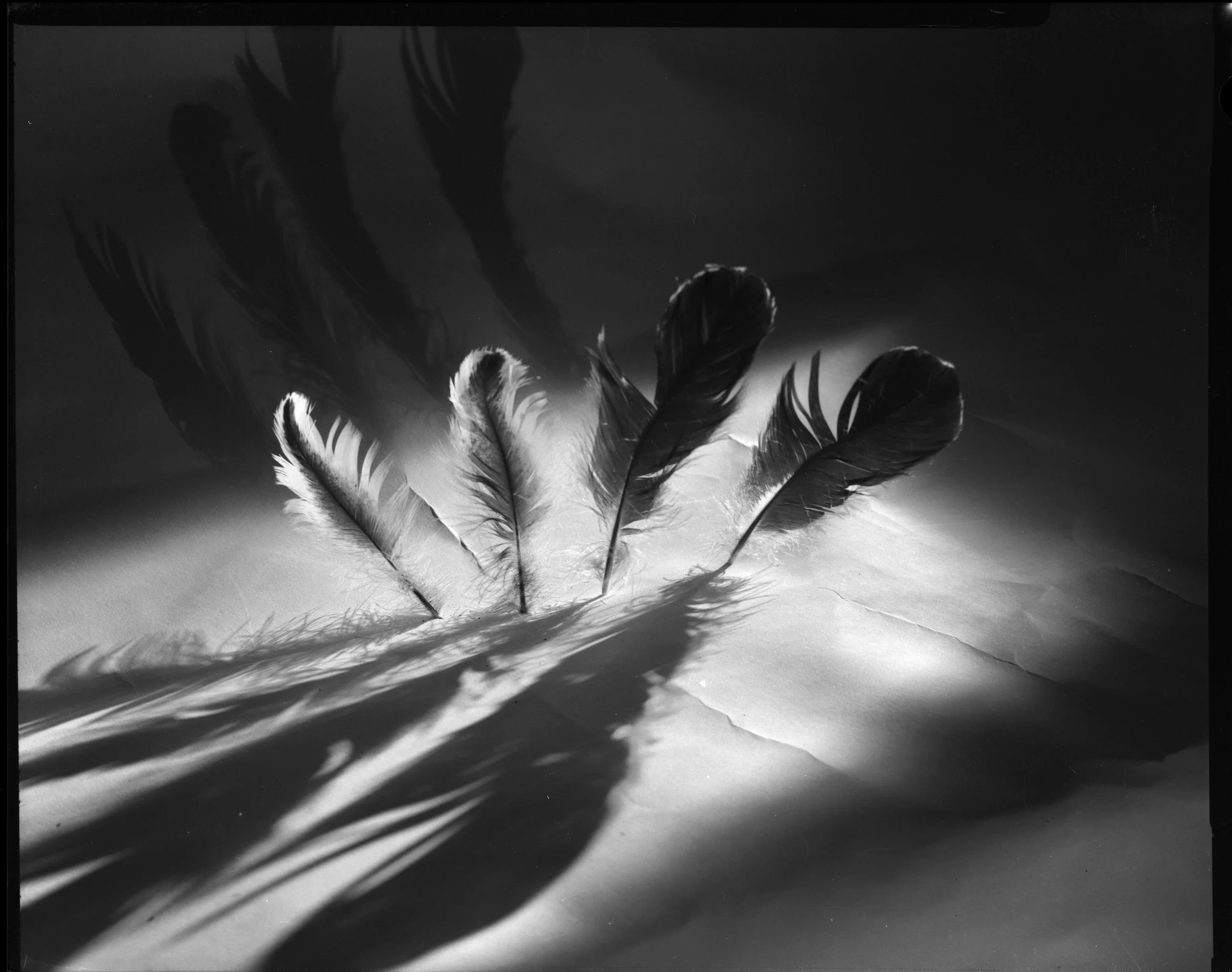 Screenshot 2024-02-09 at 14.08.02.jpeg