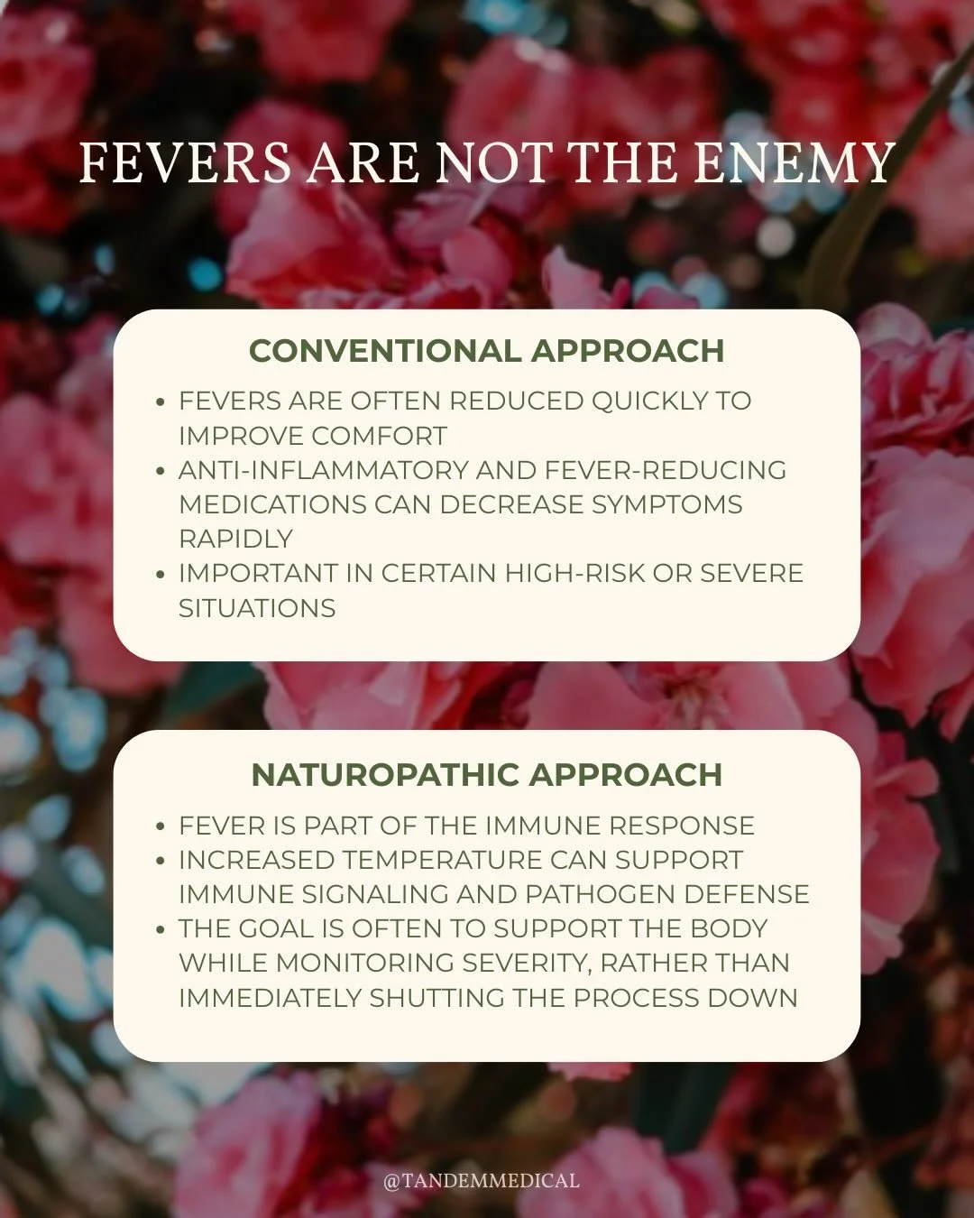 A fever is not always something the body is doing wrong 🌿

Sometimes it&rsquo;s part of the immune system actively responding and adapting.

Of course, severity and context matter. But it&rsquo;s interesting how quickly we&rsquo;re taught to shut sy