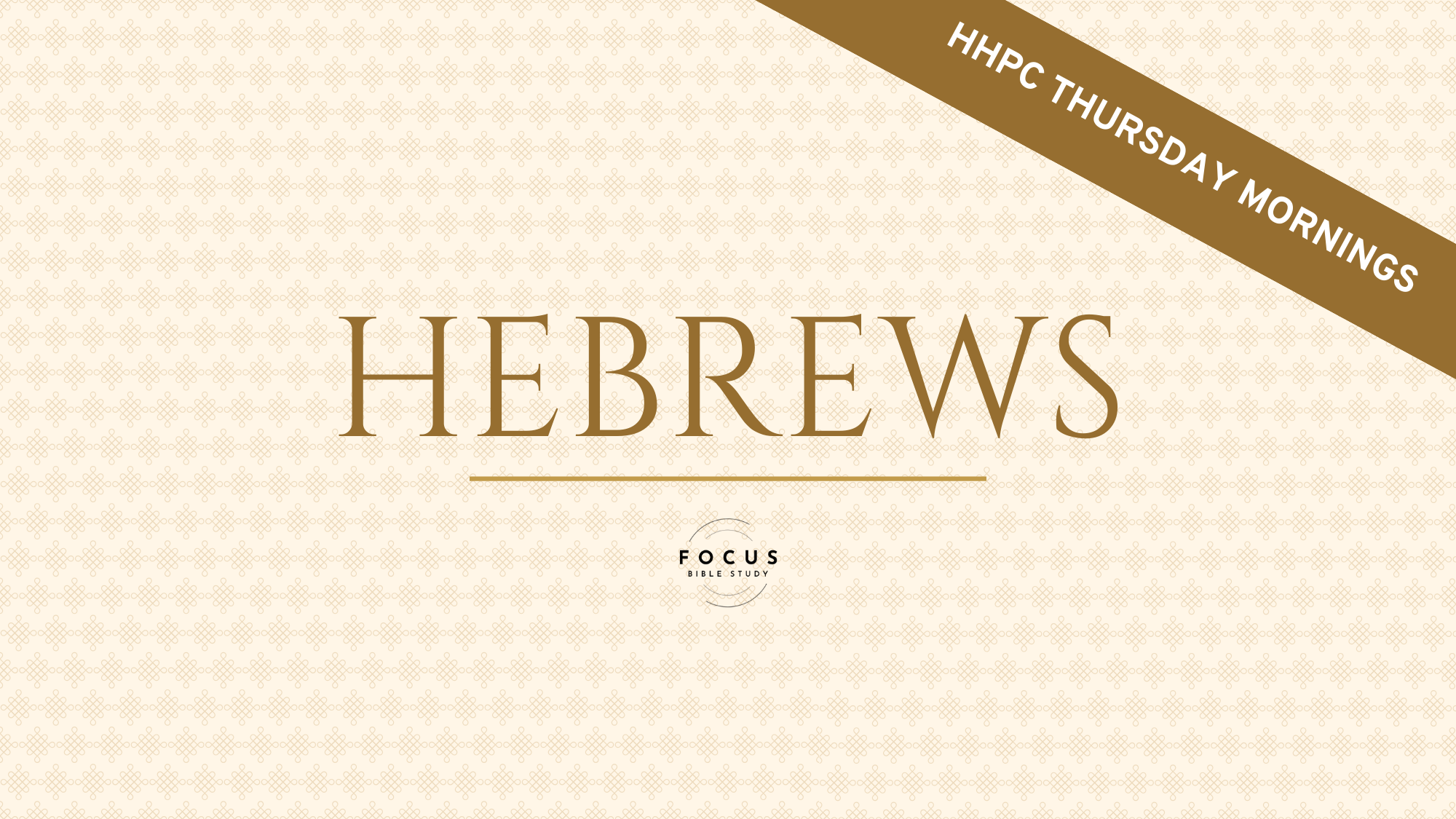 Focus Hilton Head Thursday Morning