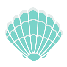 shells and fitness.png