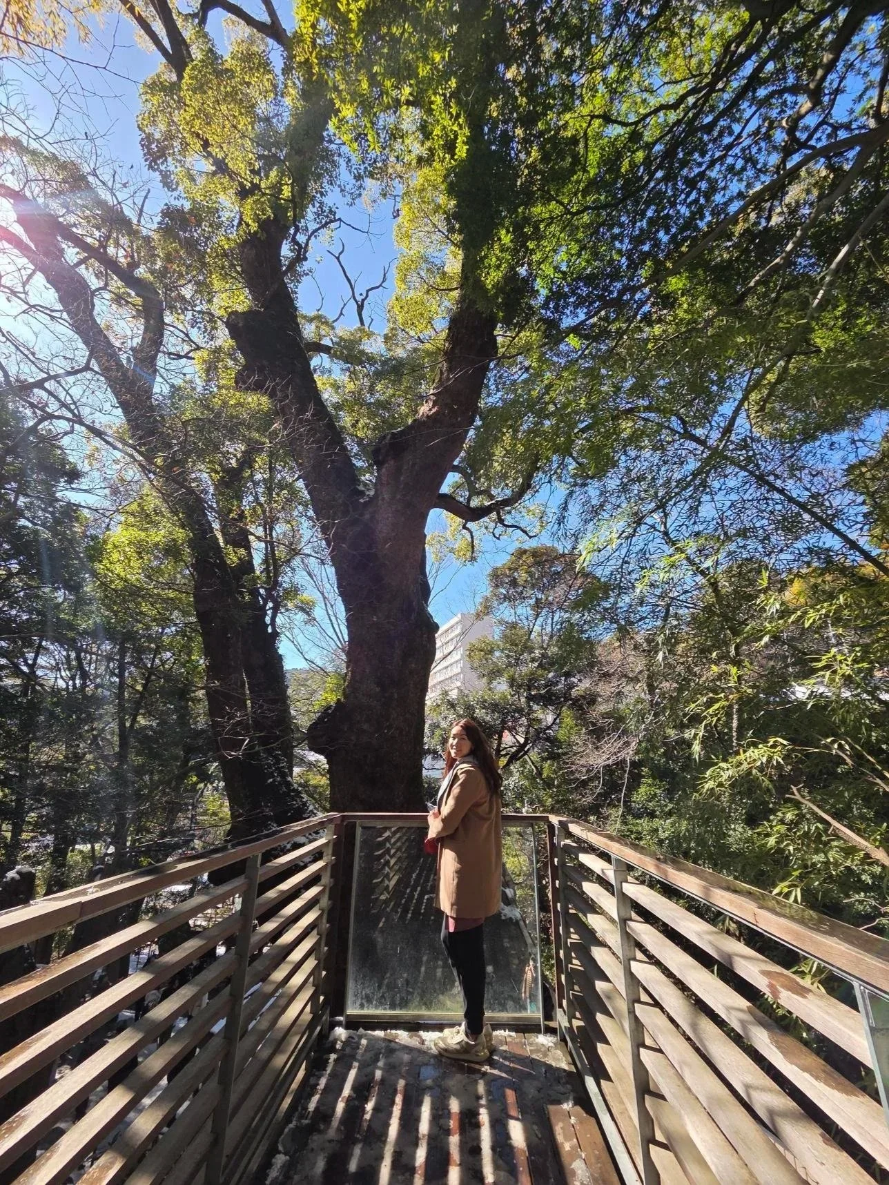 Storytelling That Grows Your Brand