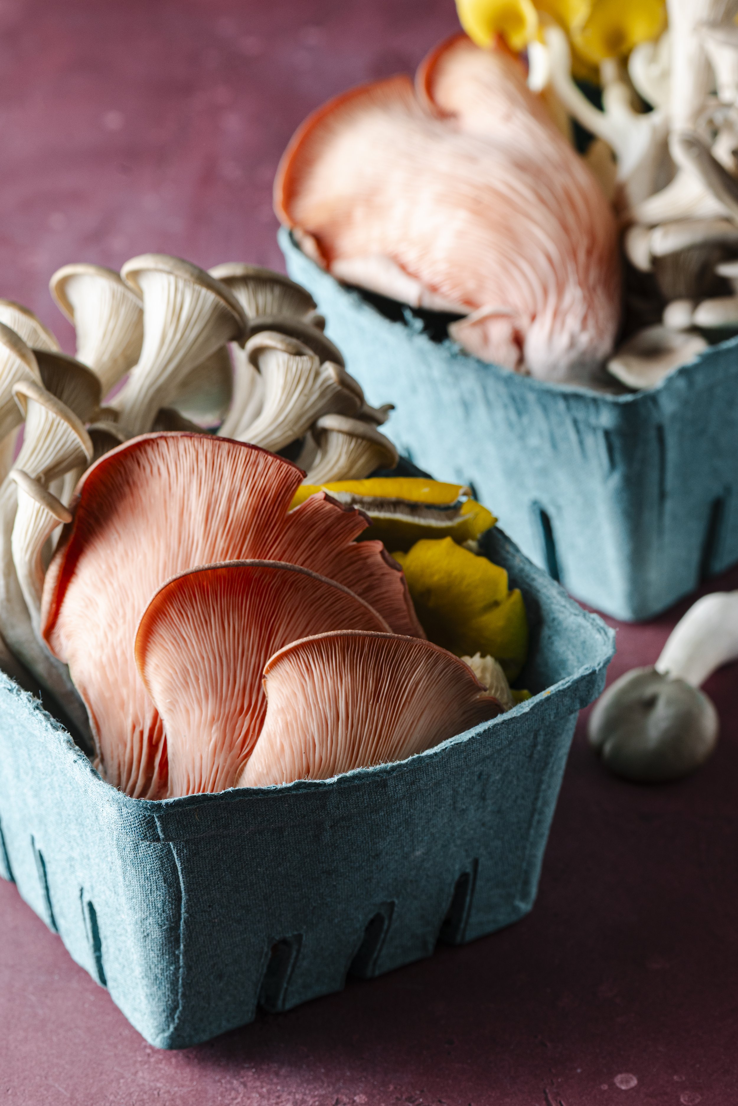 Studio Session-017-4.jpg