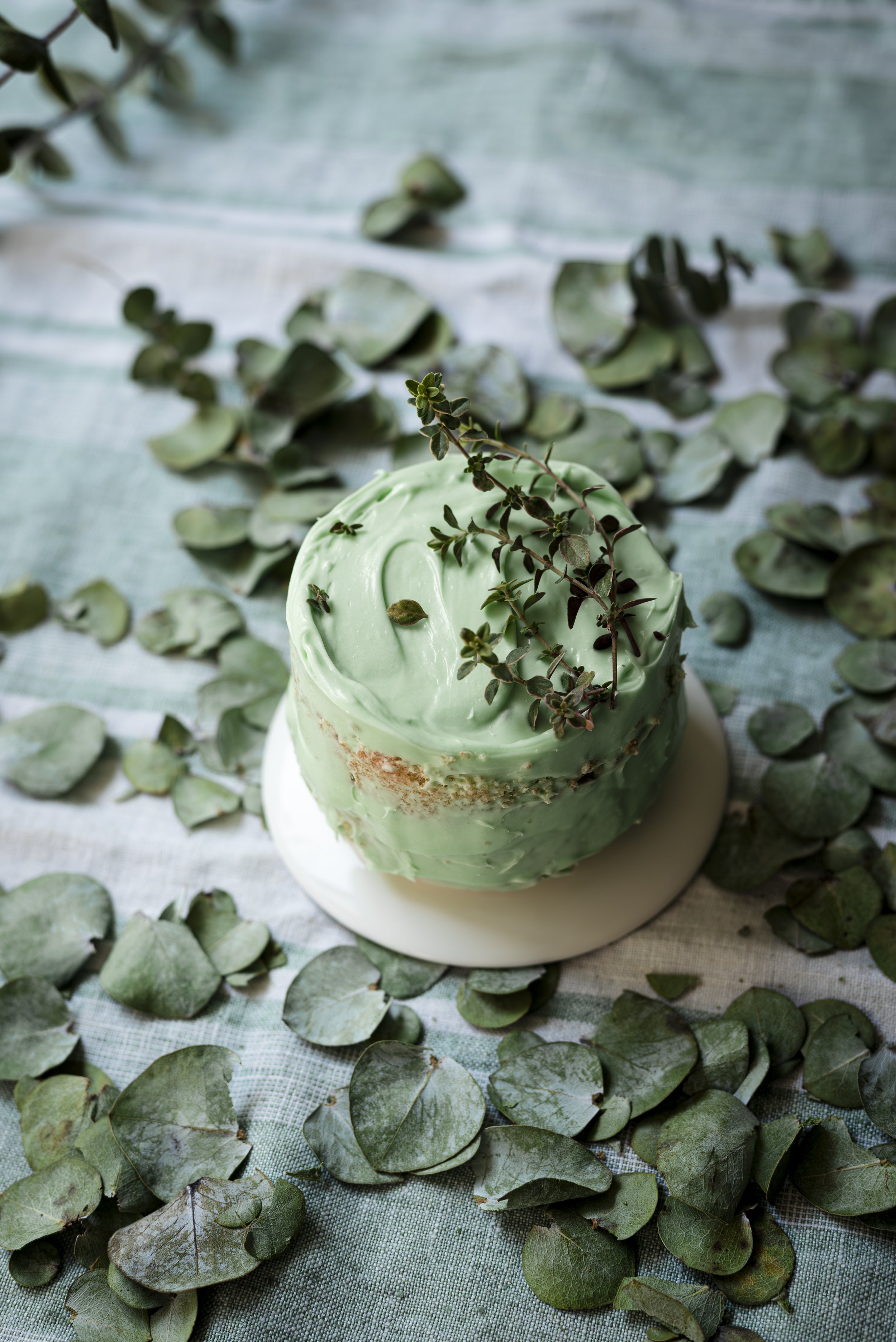 mini cake with green icing surrounded by eucalyptus.jpg