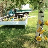 1471469727-206w_206h_couch1.jpg