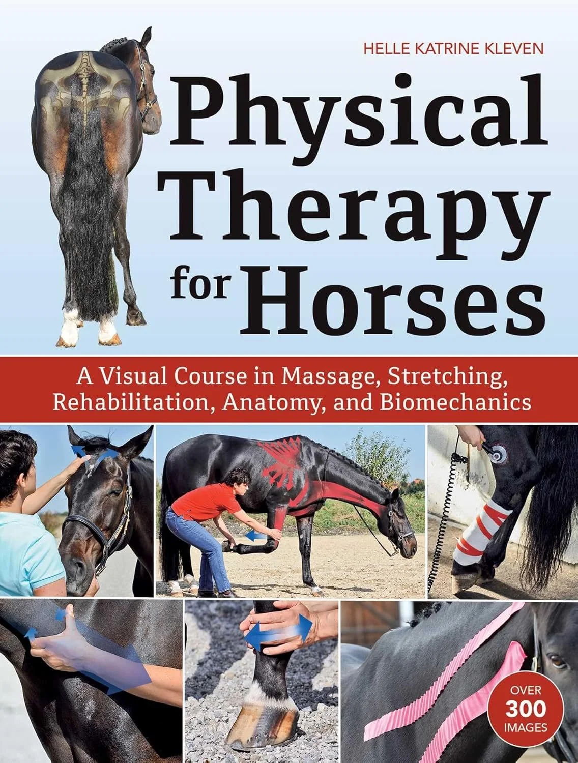 Book cover titled 'Physical Therapy for Horses' with images of horses being treated by humans, including massage, stretching, and rehabilitation techniques.