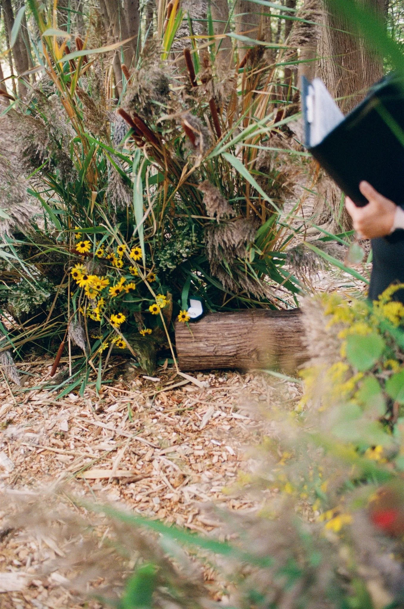 Kate + Mike_Wedding_Film-2_websize.jpg