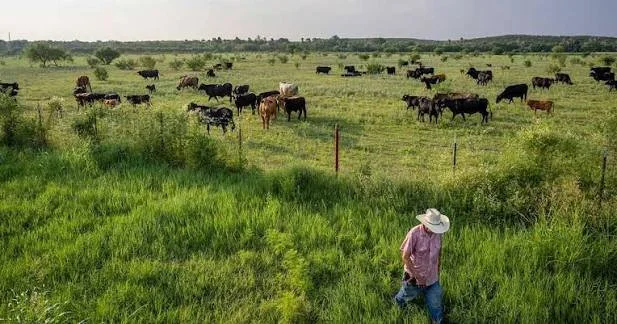 NEW REPORT: Democrats Lost South Texas Voters on Values. Republicans Are Now Losing Them on the Economy.