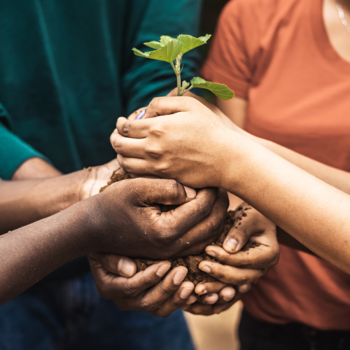 The Seed Sessions | Virtual Parenting Classes