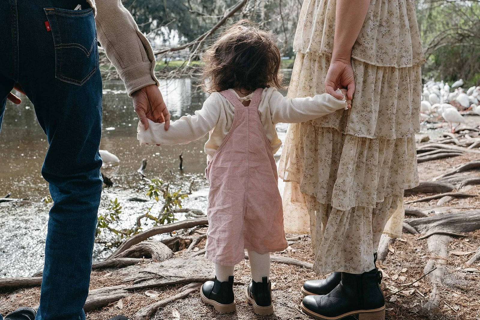 Family holding hands during famliy photo session in City park with ducks and swans in New Orleans