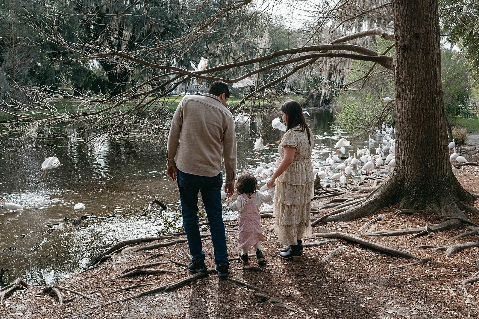 Family holding hands and watching swans in City Park during family photo session in New Orleans