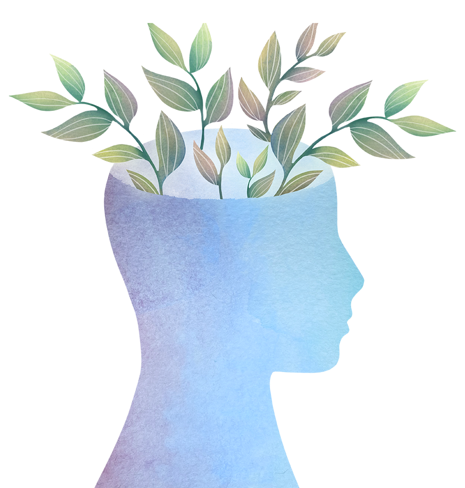 Watercolor illustration of a potted plant with green leaves.