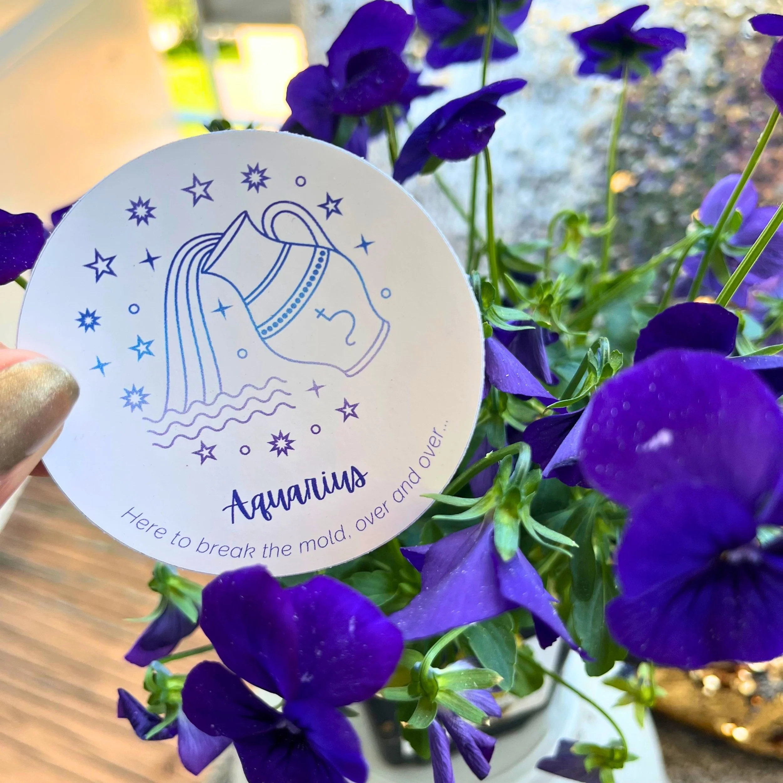 Aquarius sticker 2.jpg