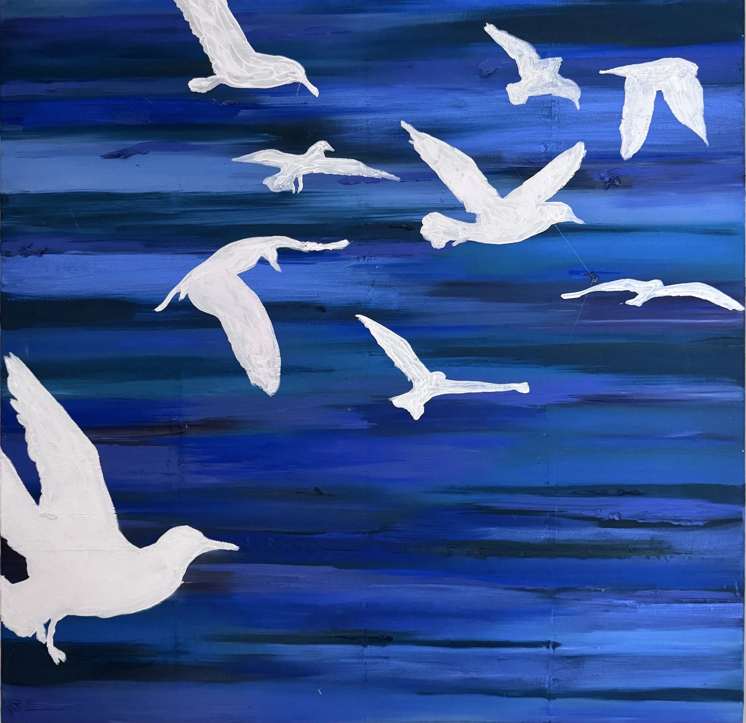 "Gulls over water," oil on canvas, 24"x24"