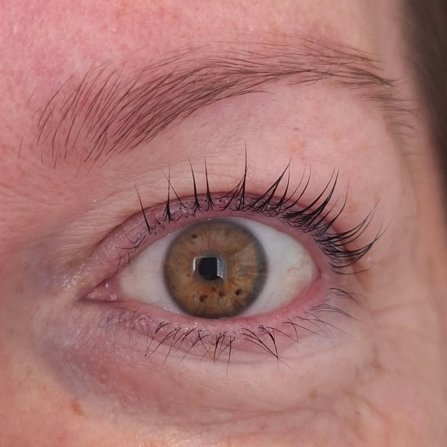 Lash lift with eye lash tint and a light tint for the brows, making a statement yet subtle.
(Eye lashes still damp with hydrating serum and will fluff up more once dry 👏)

#taurangabeautytherapist 
#lashliftandtint 
#subtlenomakeuplook 
#eyespopping