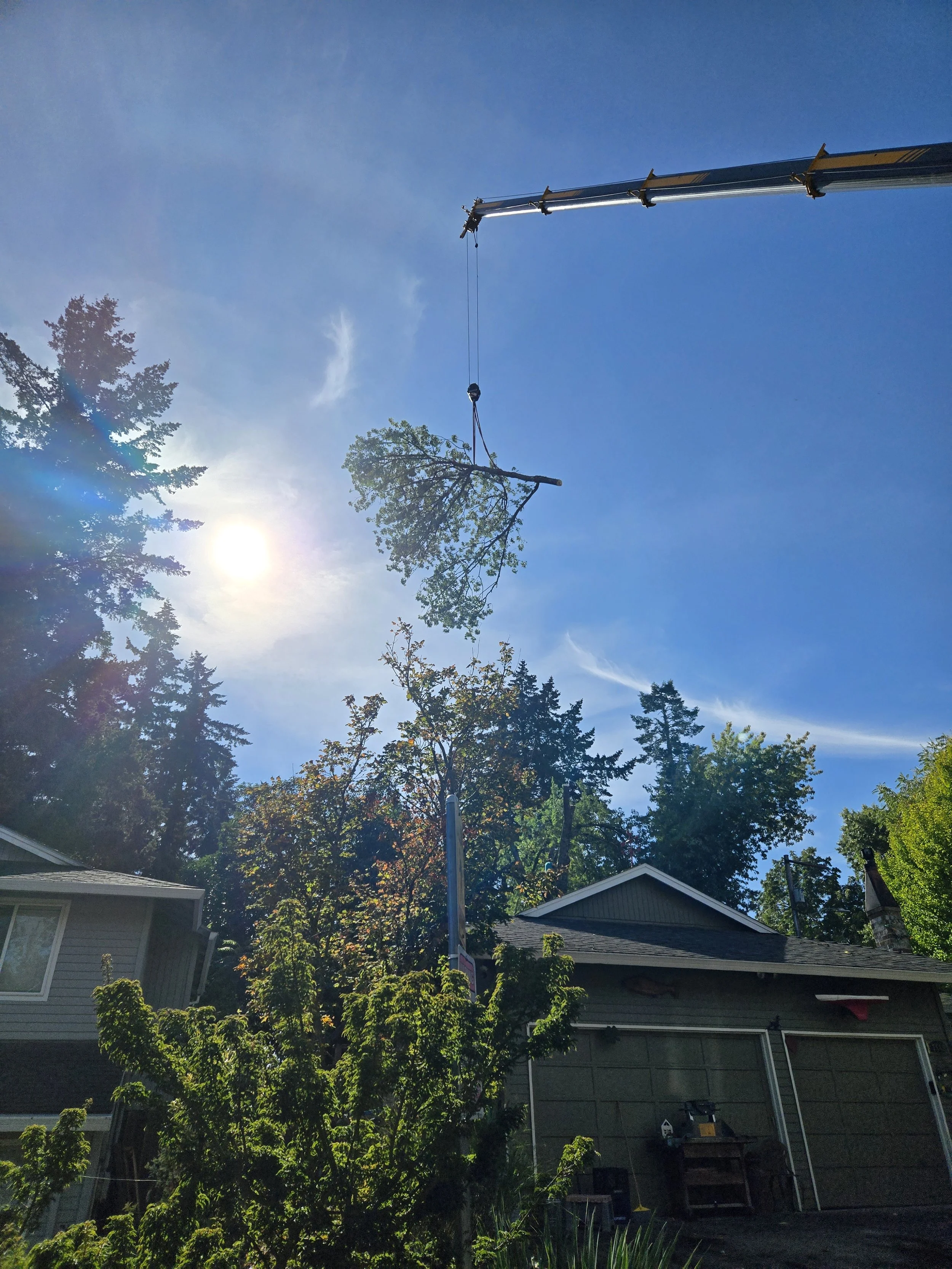 Crane lifting a large branch over a house during a pruning job — protecting the yard during tree trimming | North Woods Tree Service