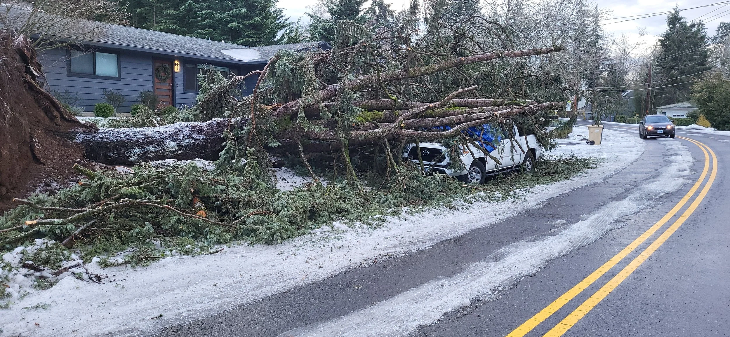 Big tree down across a front yard and a parked car — emergency tree removal response | North Woods Tree Service