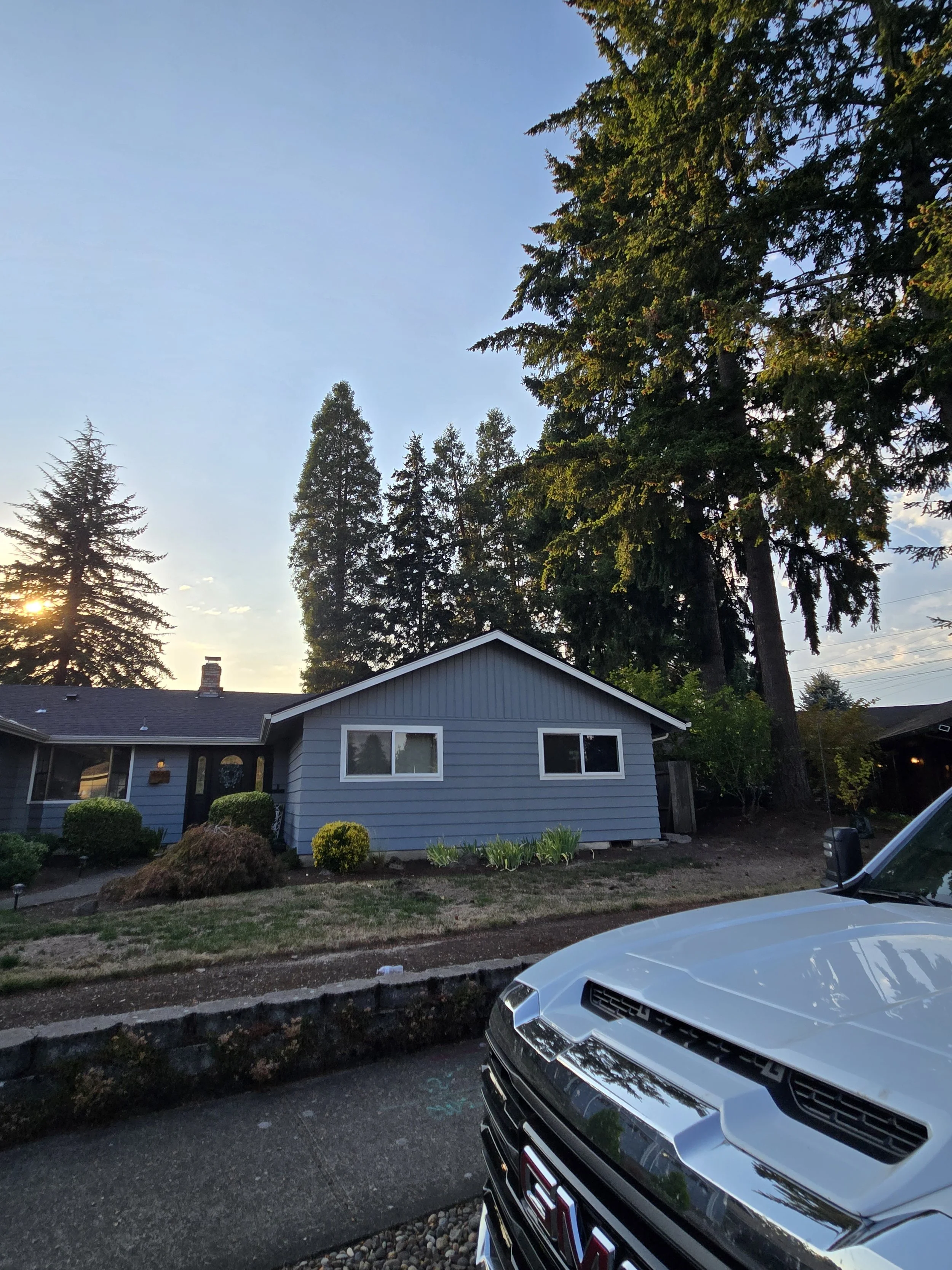 Multiple trimmed trees around a residential property — full-yard tree trimming and pruning | North Woods Tree Service