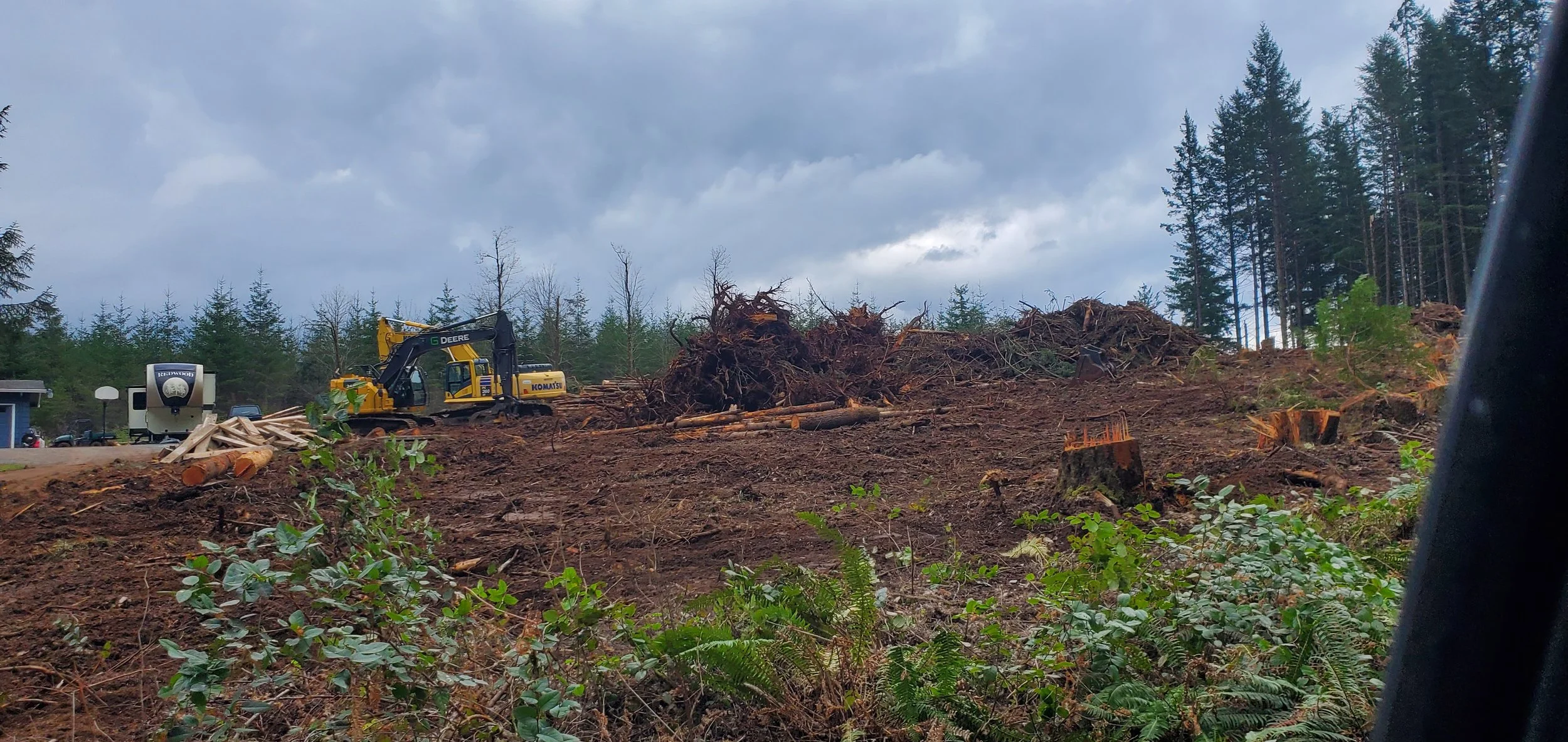 Large-scale land clearing — felled trees, stumps, and burn piles across a cleared property | North Woods Tree Service