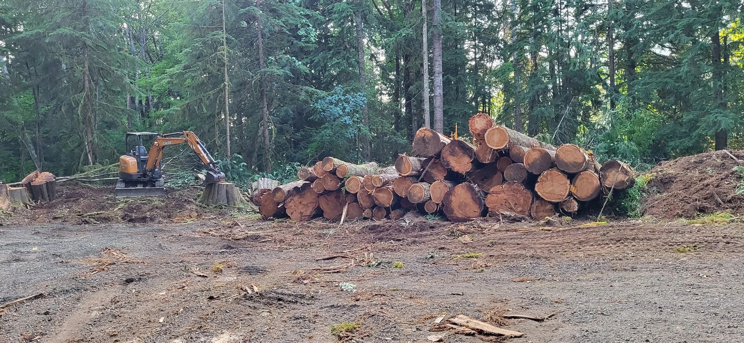 Residential logging job — felled timber laid out across a cleared work area | North Woods Tree Service