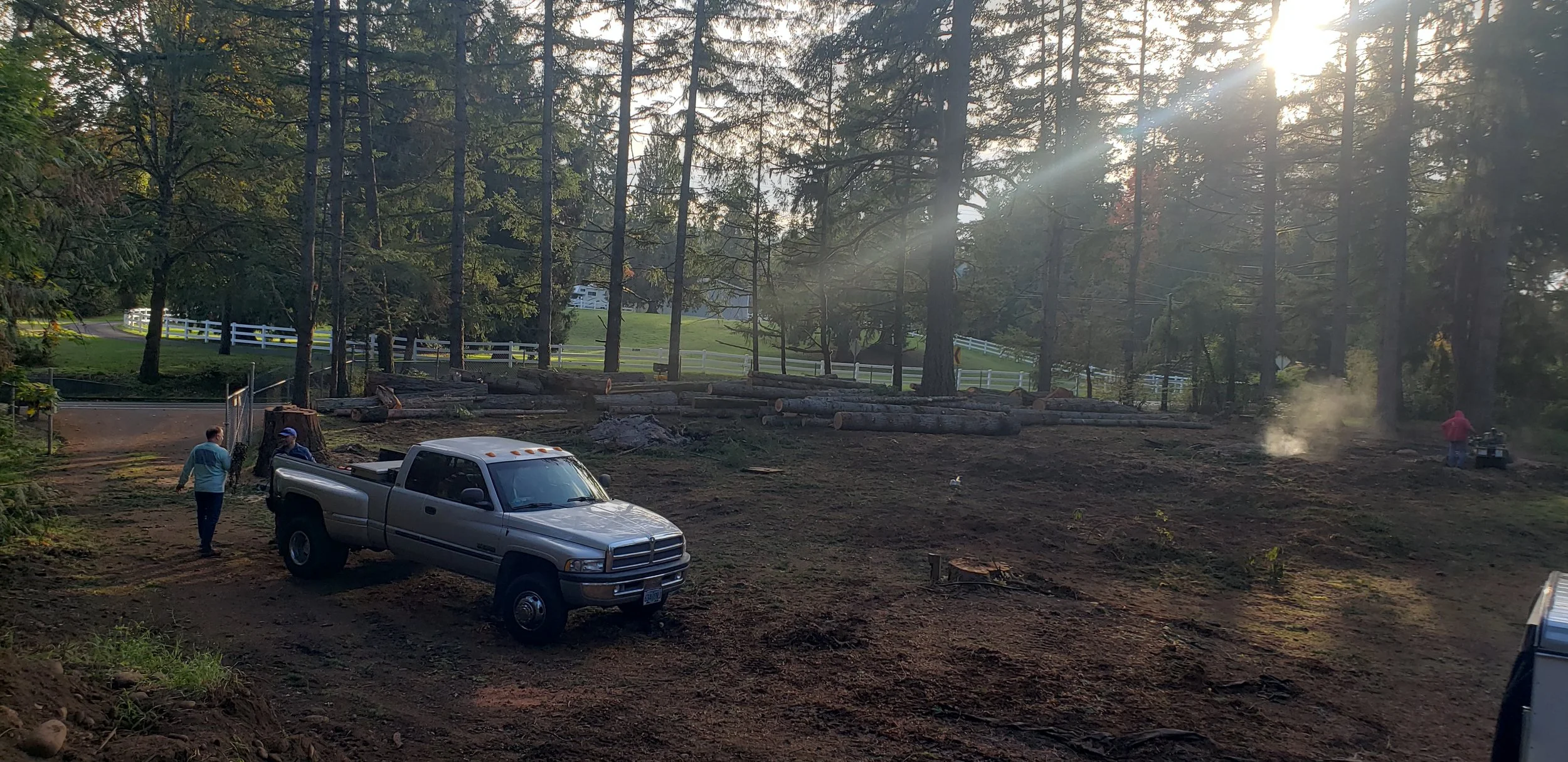 Removing trees to open up space for a new pasture — residential land clearing | North Woods Tree Service