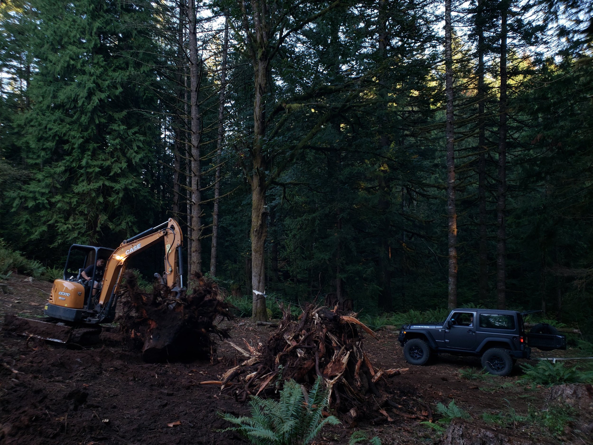 Removing large stumps to create more usable space on a residential property — stump and land clearing | North Woods Tree Service