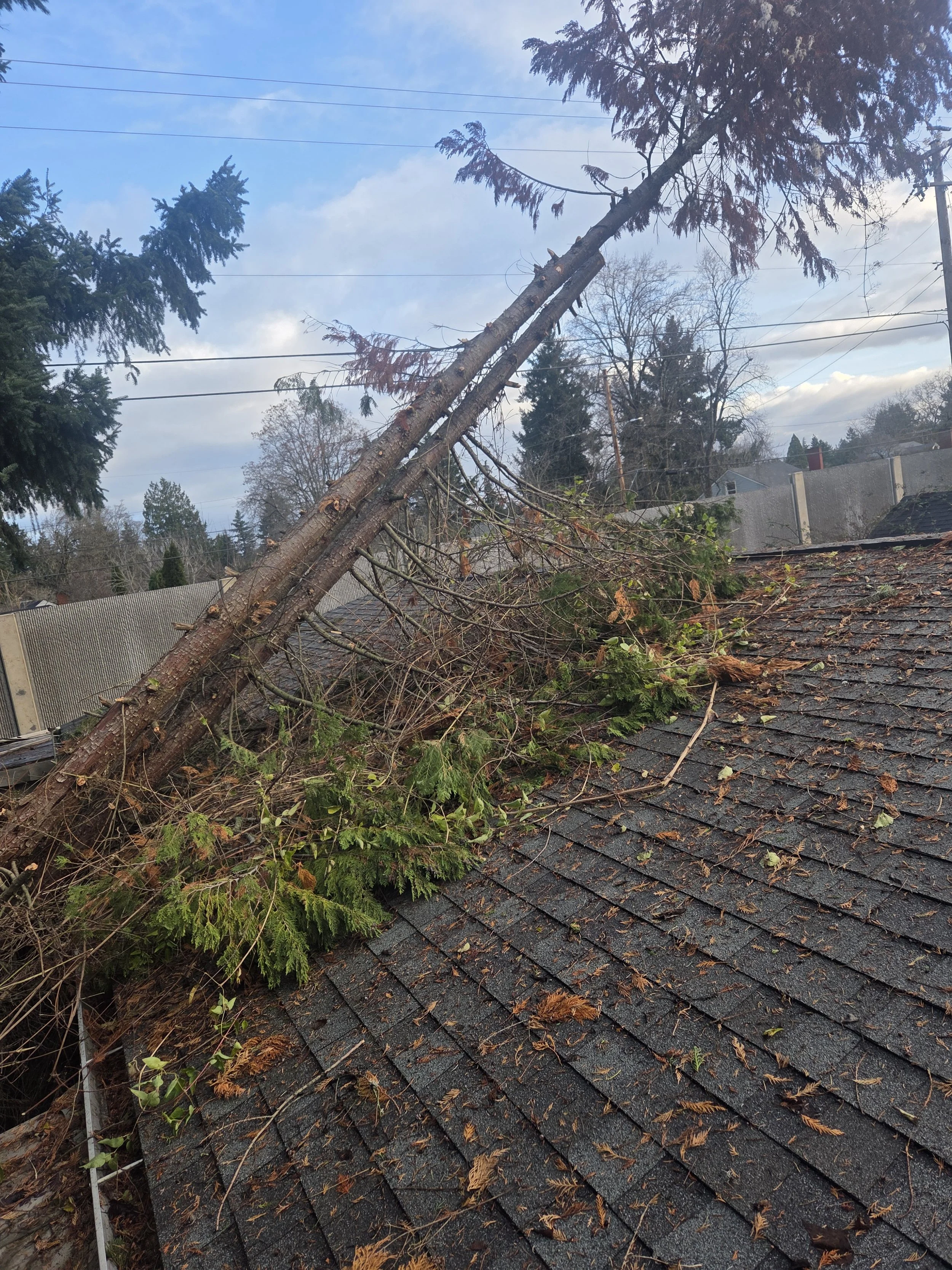 Fallen tree lying across a residential roof — emergency storm damage response | North Woods Tree Service